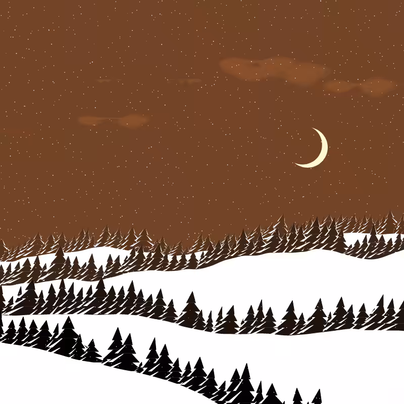 Winterland #215