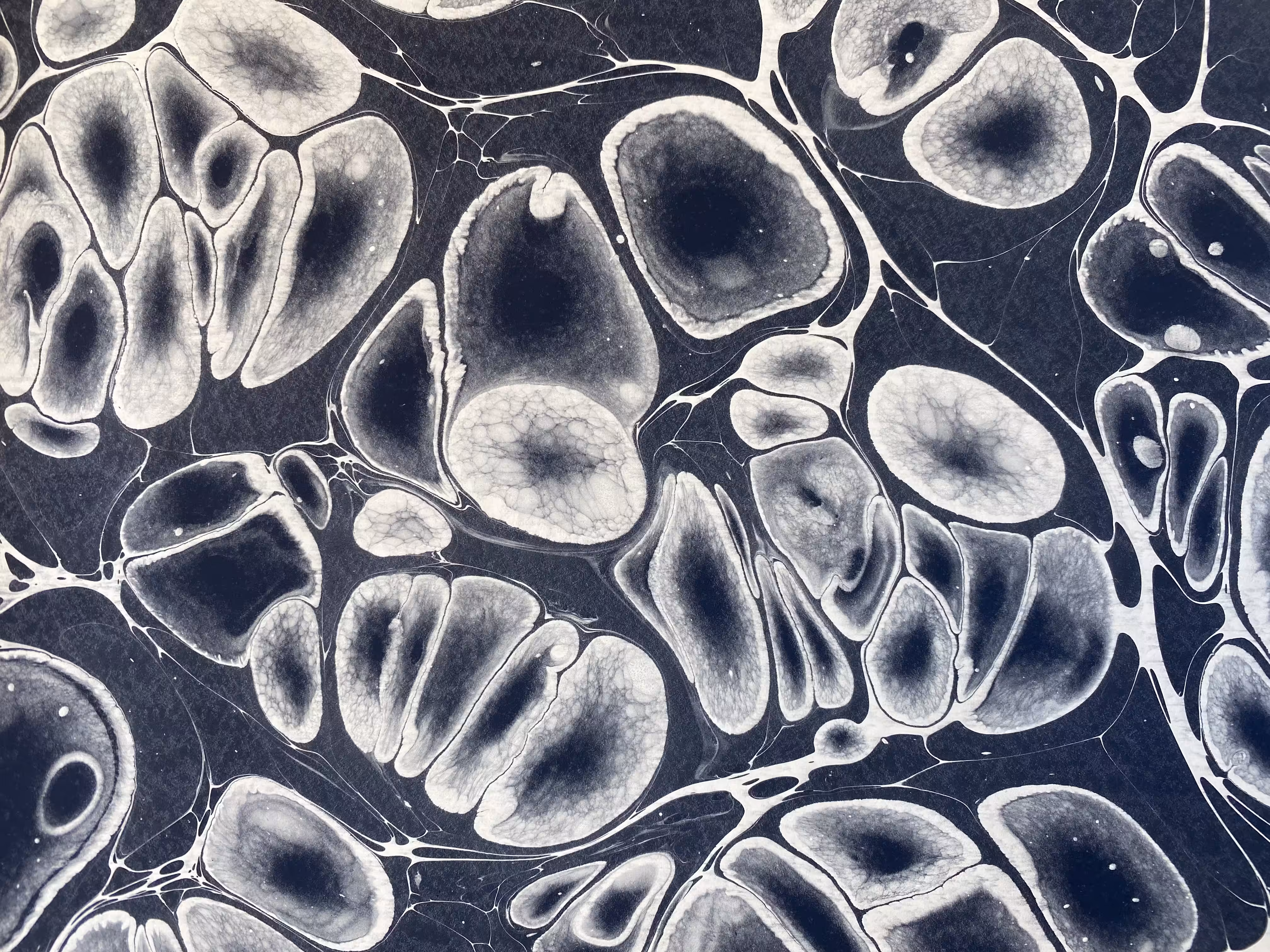 Monochrome Battal Ebrû / Marbling Art SE #12
