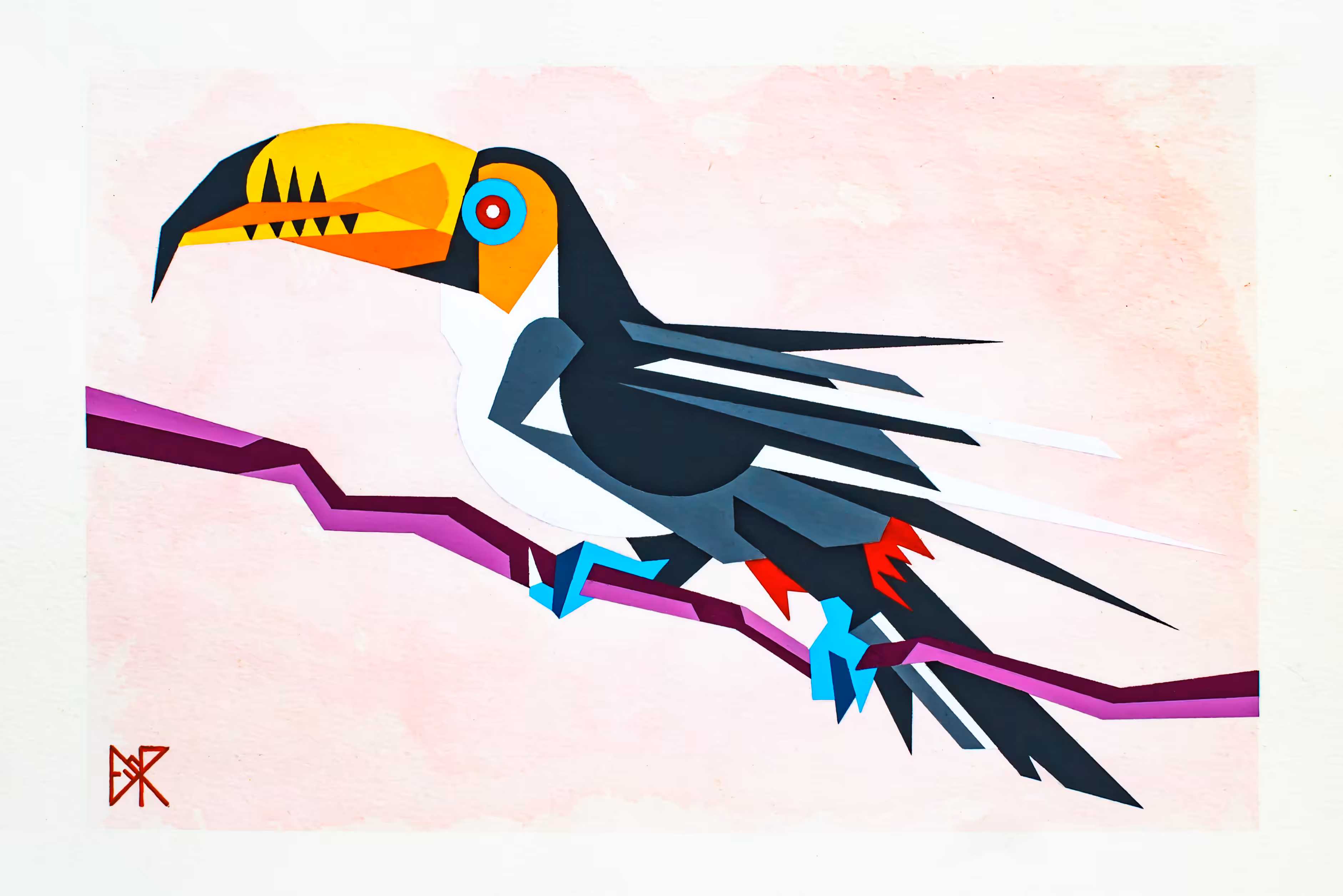 Tucán Toco (Toco toucan)