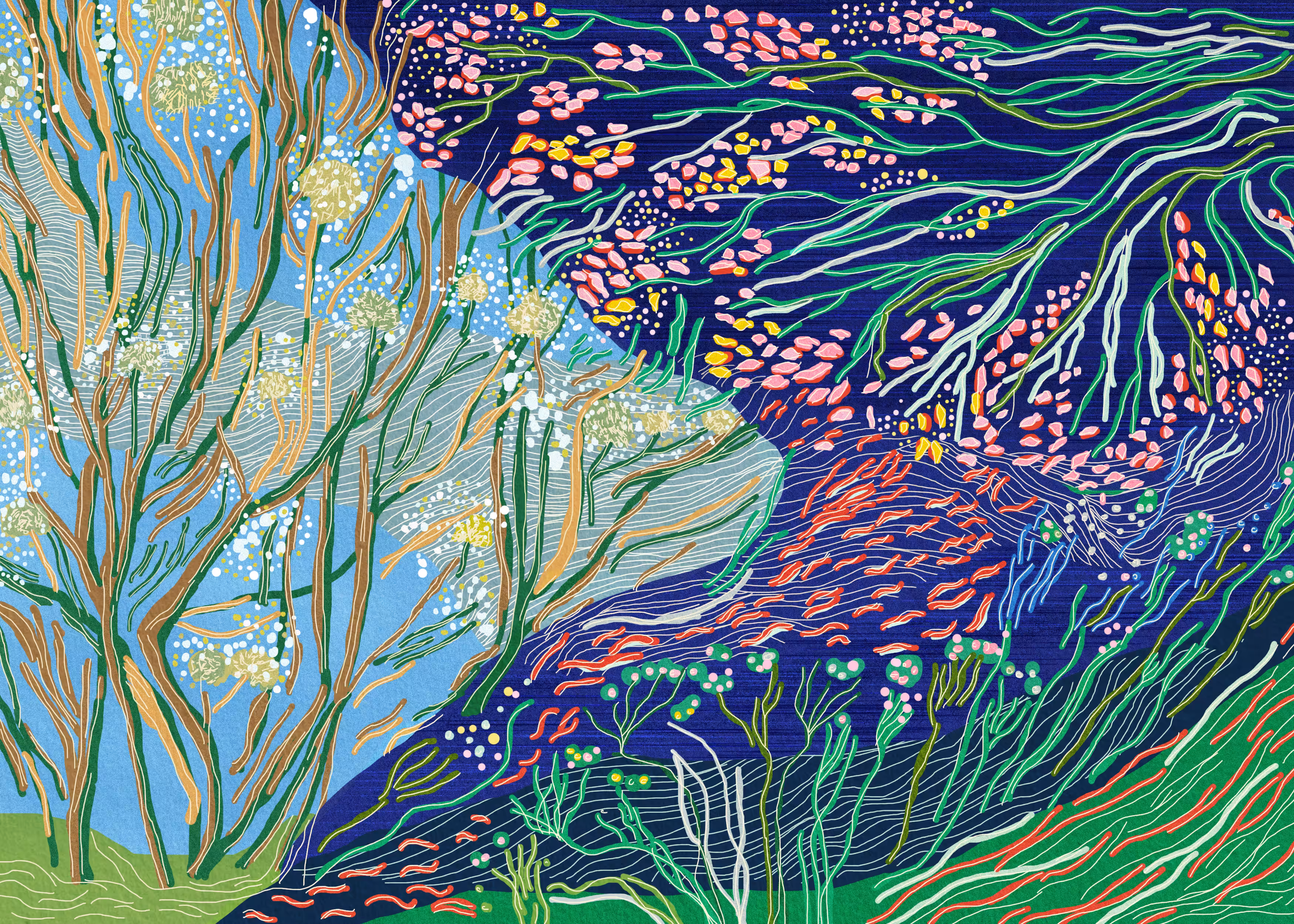 Thermocline