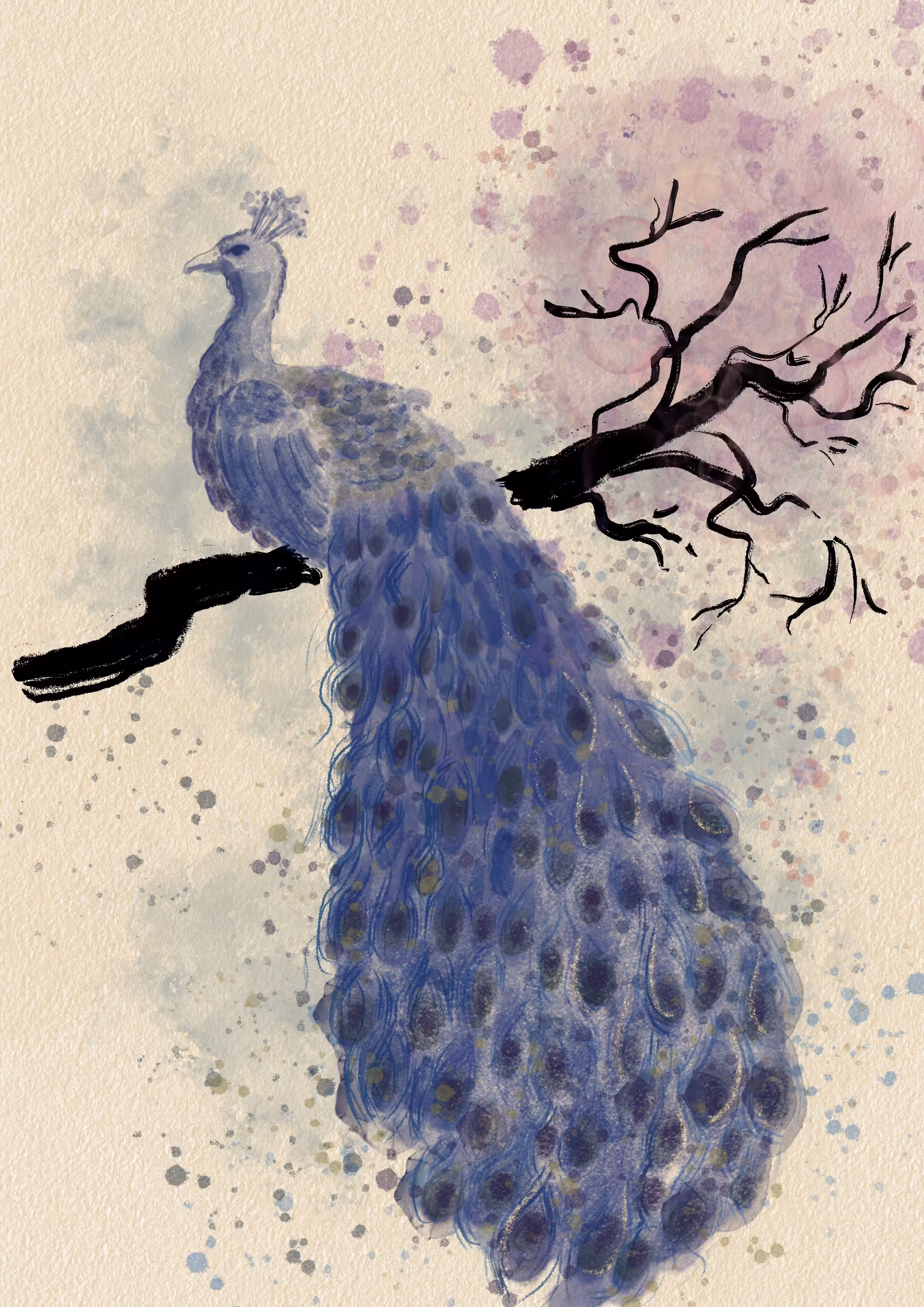 The Twilight Peacock 