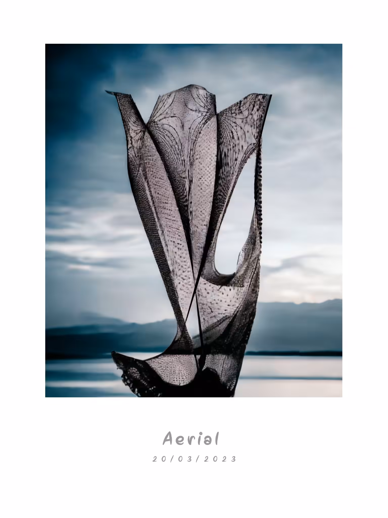 Aerial