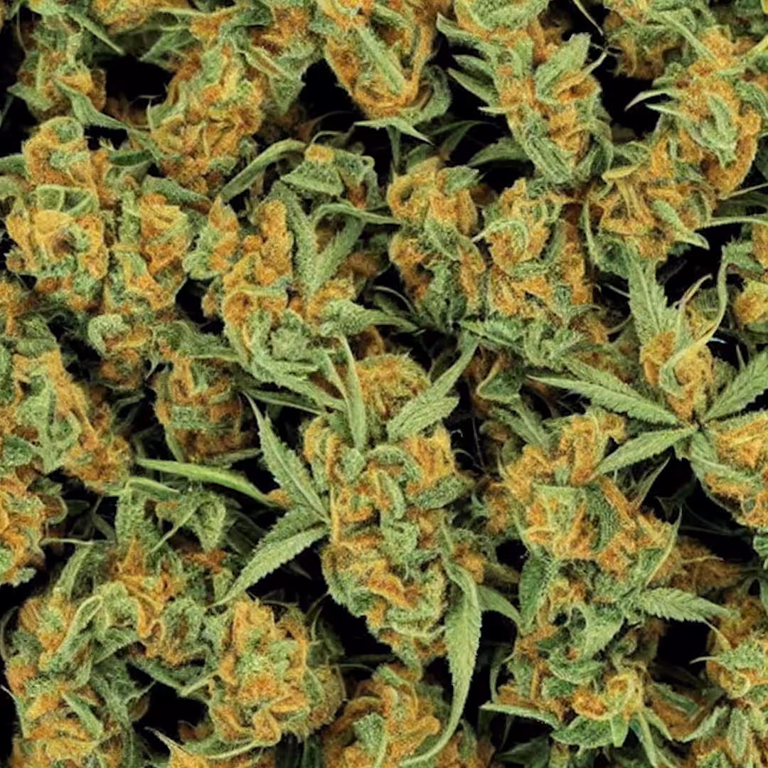 Medicated