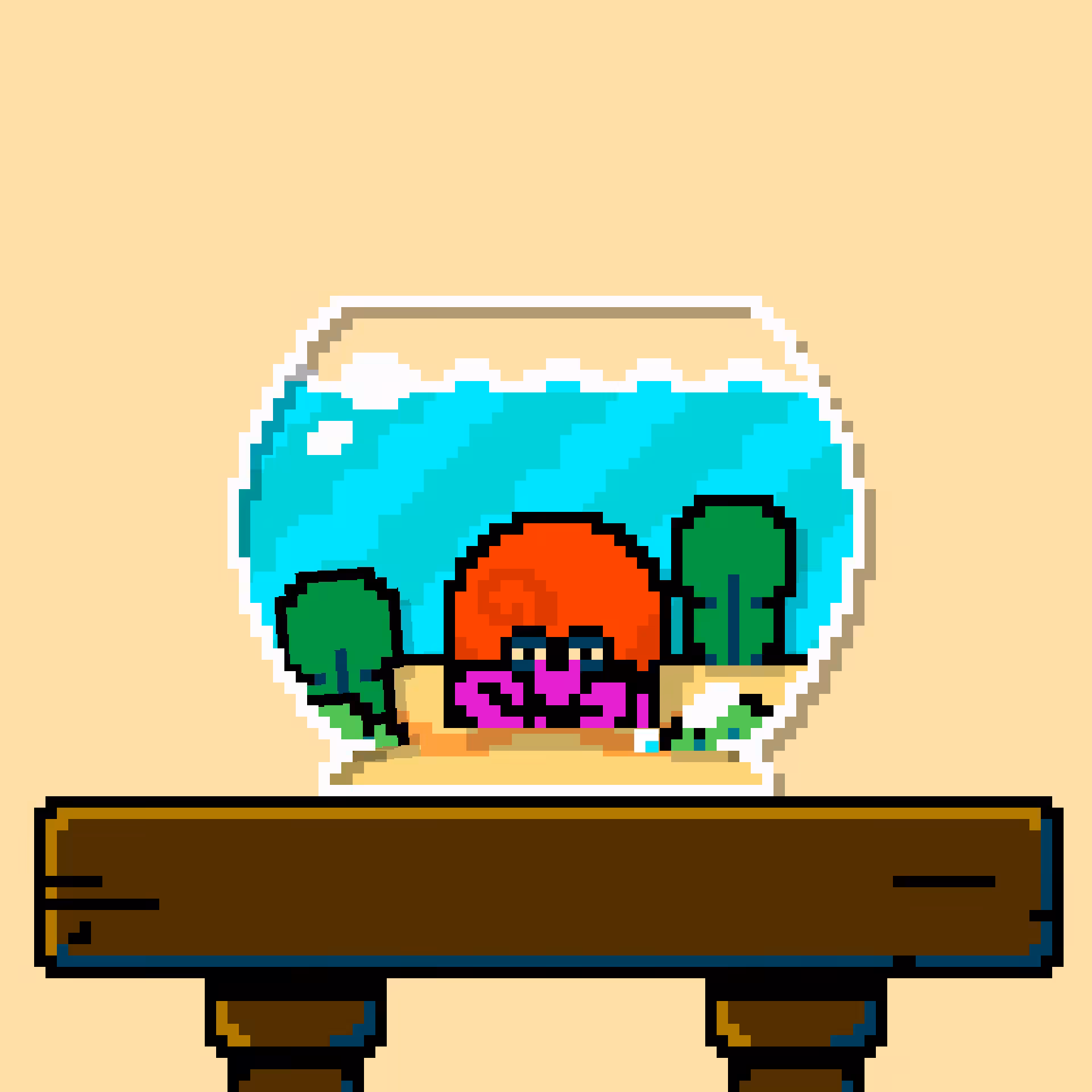 hermit crab #103