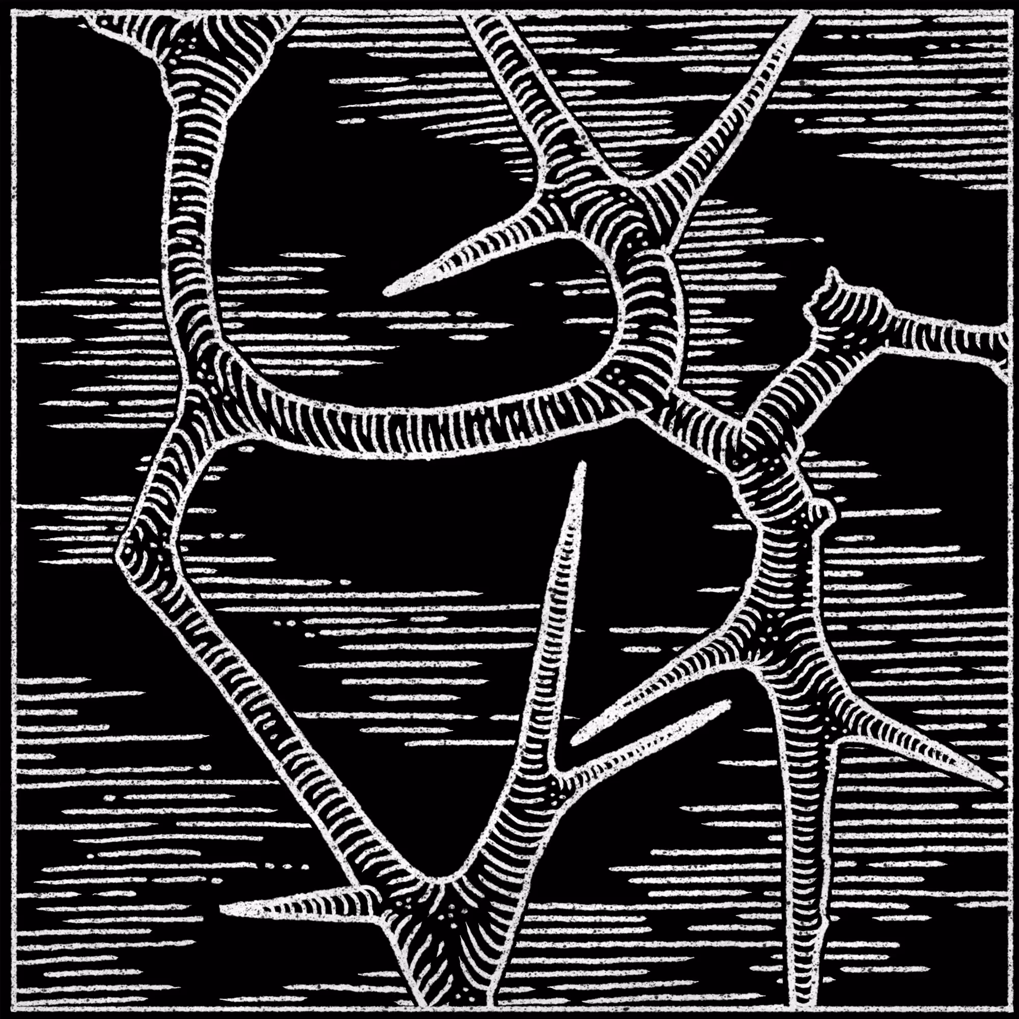Thorns