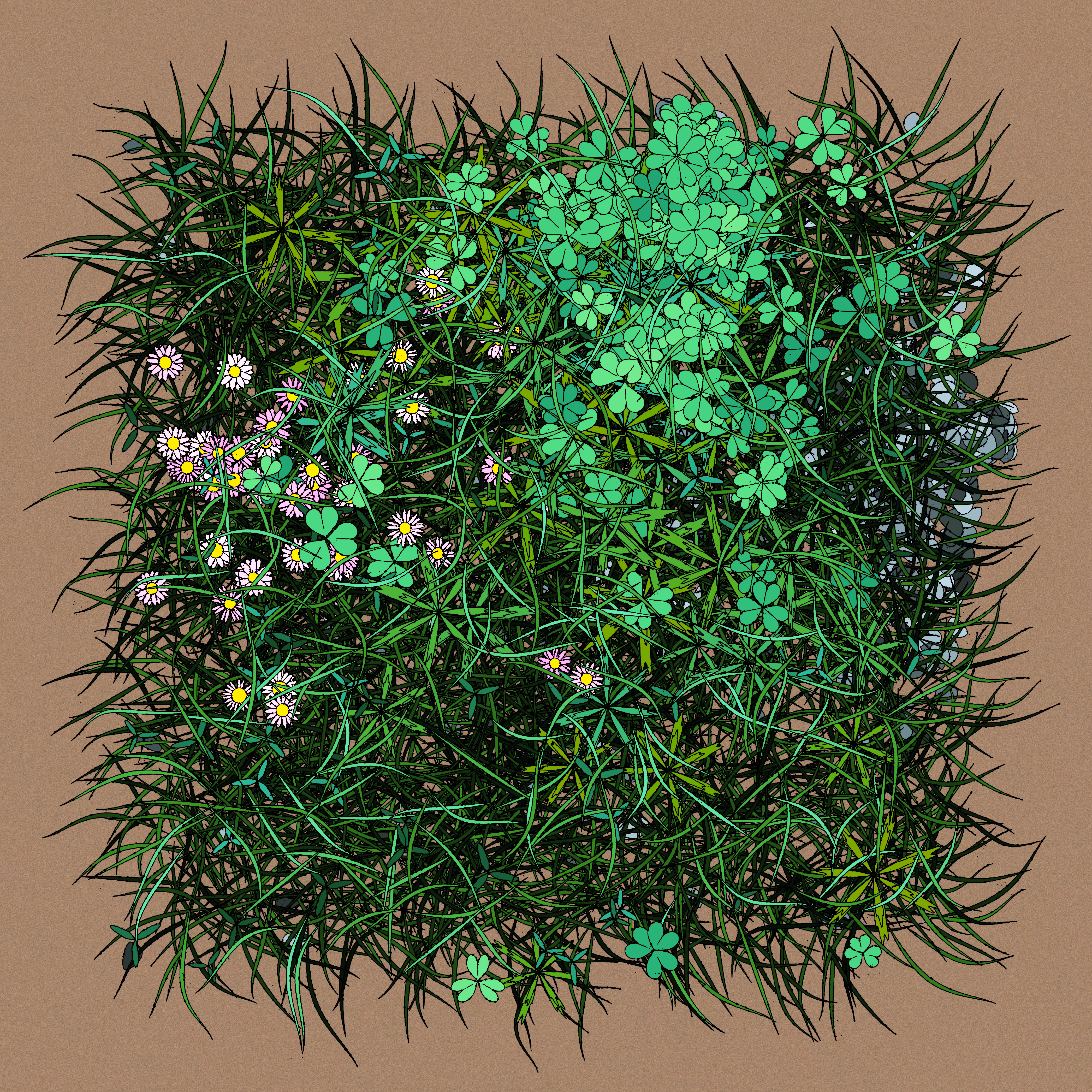 Pink Daisies #13