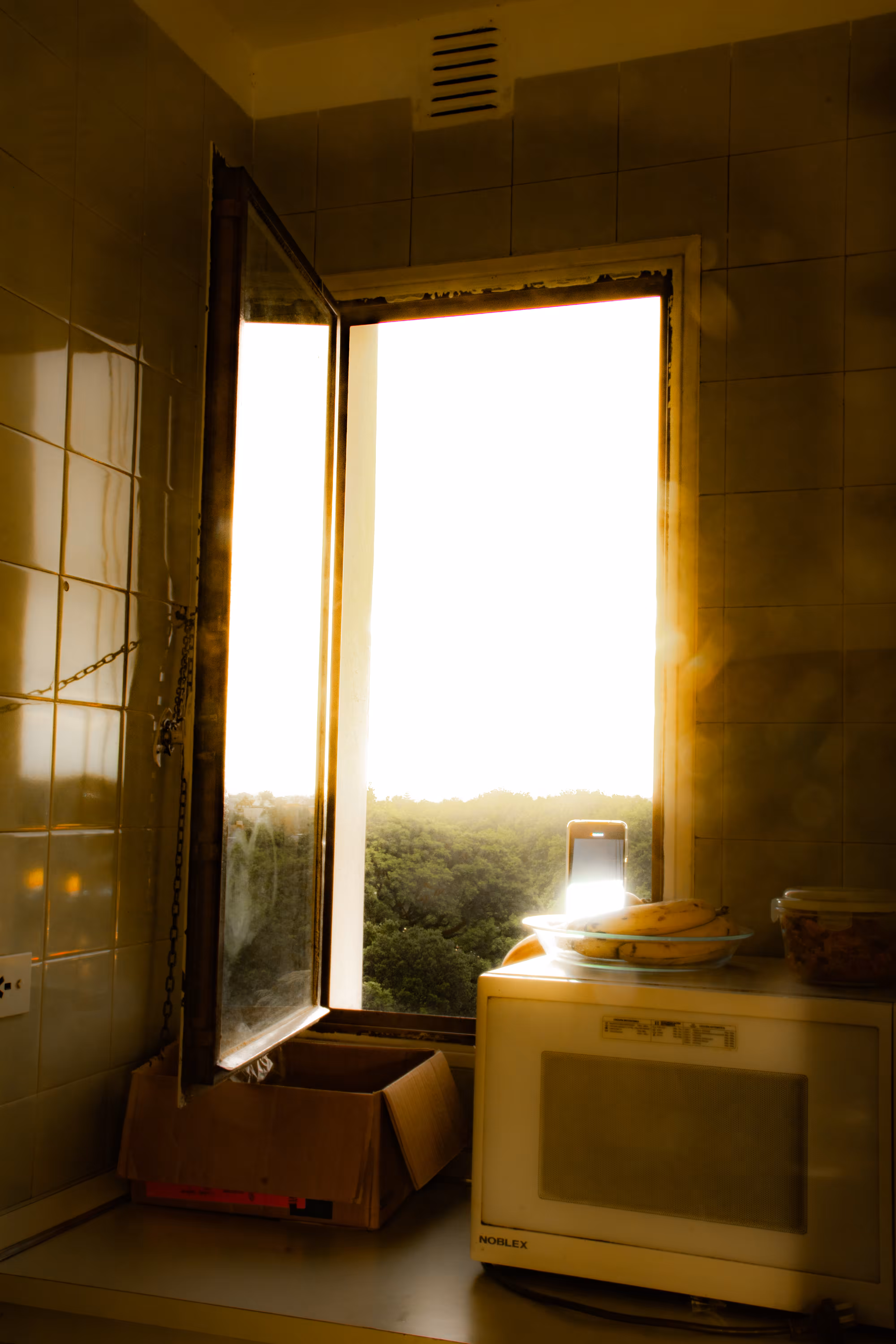My Window #20