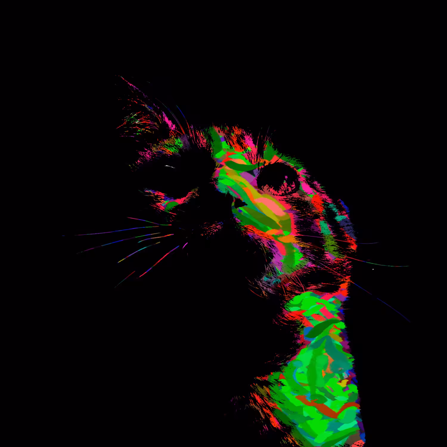 Fat Furball R.I.P. [Extended]