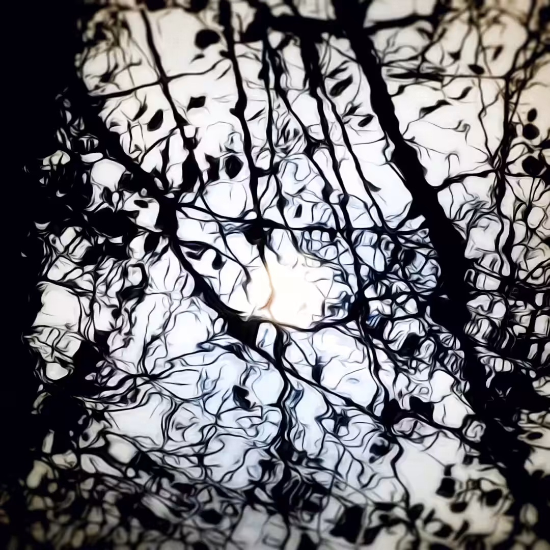 Wooden Veins