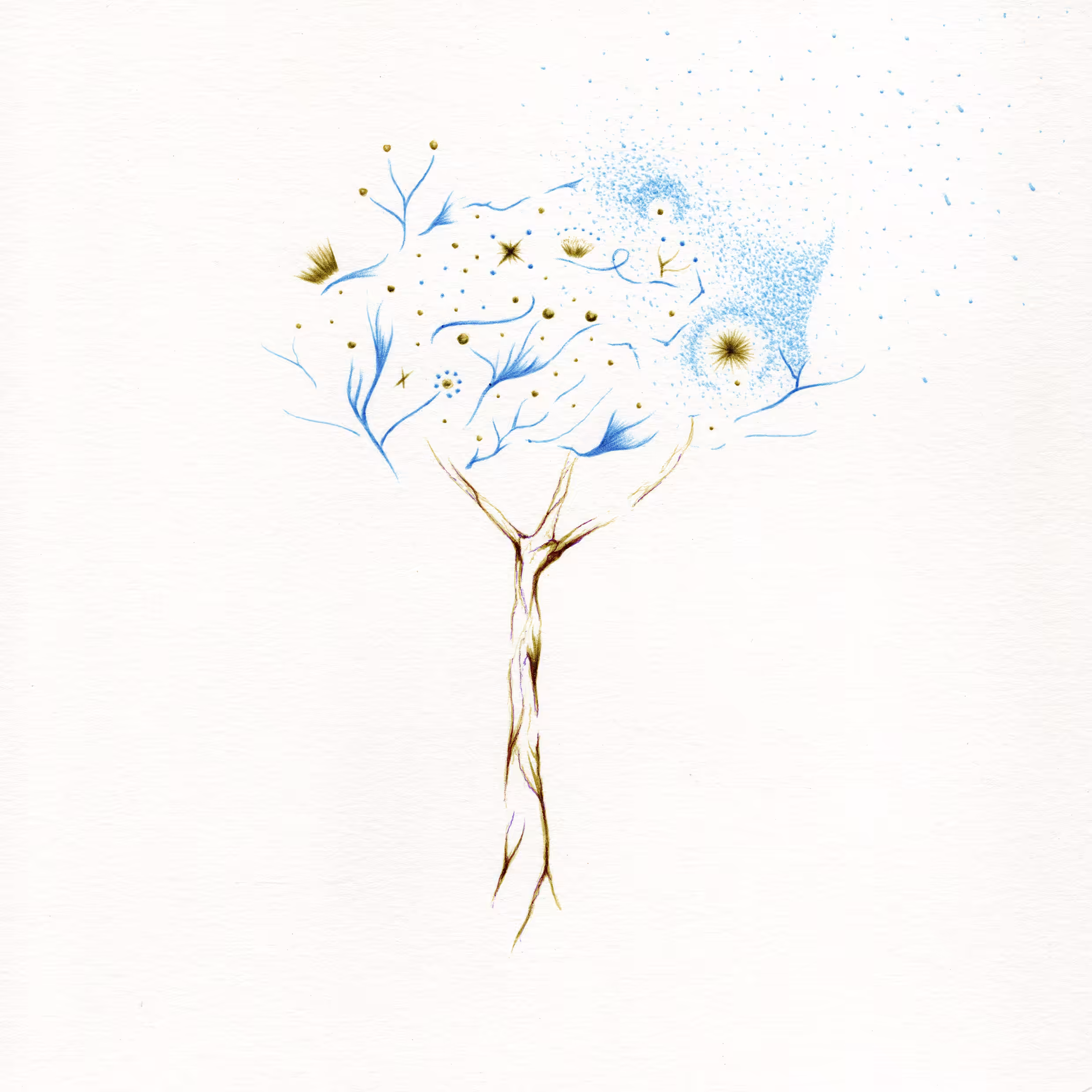 imaginary trees: imaginary tree #11