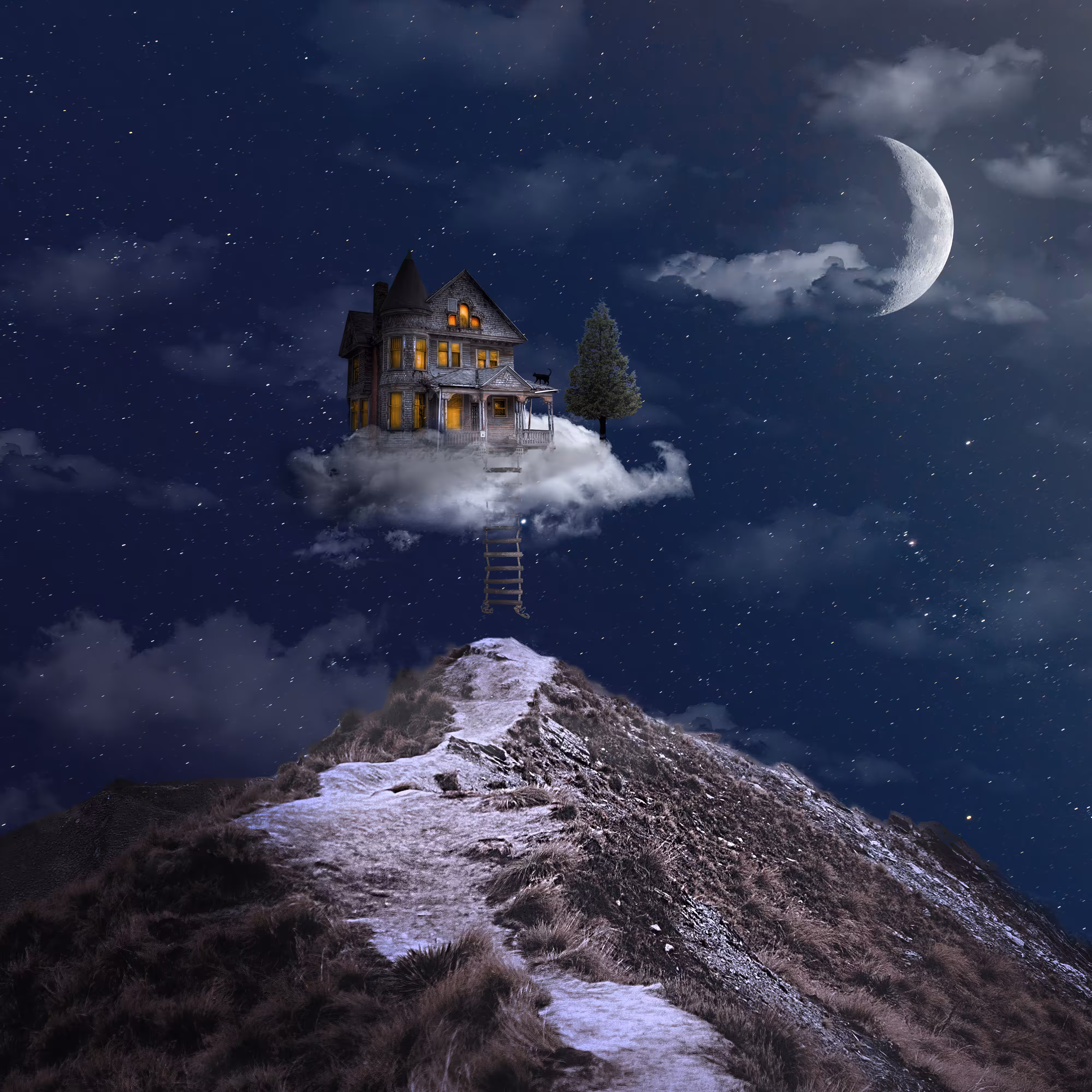 The Cloud Hotel #67/82