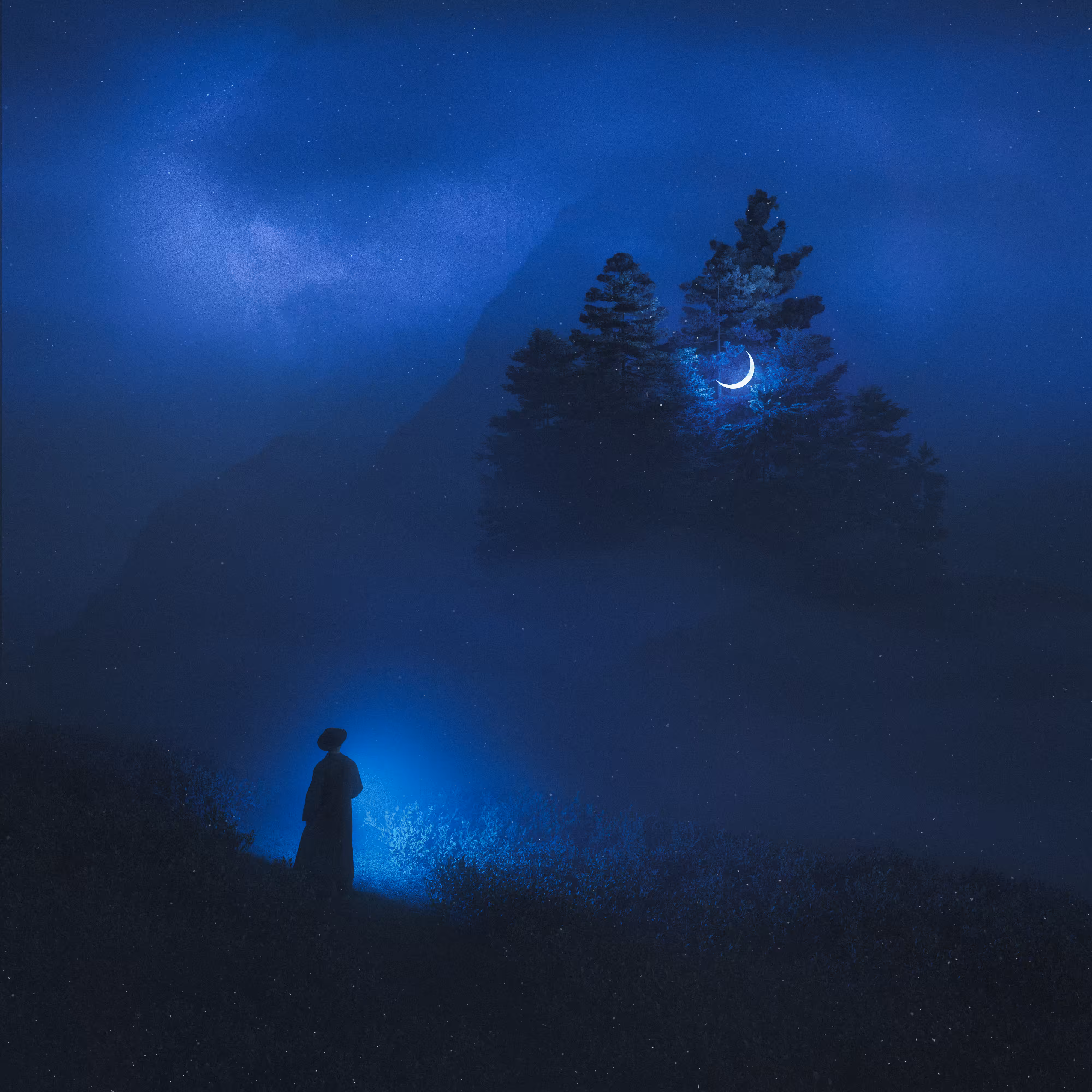 where the moon sleeps