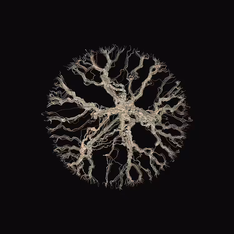 Ginseng #32