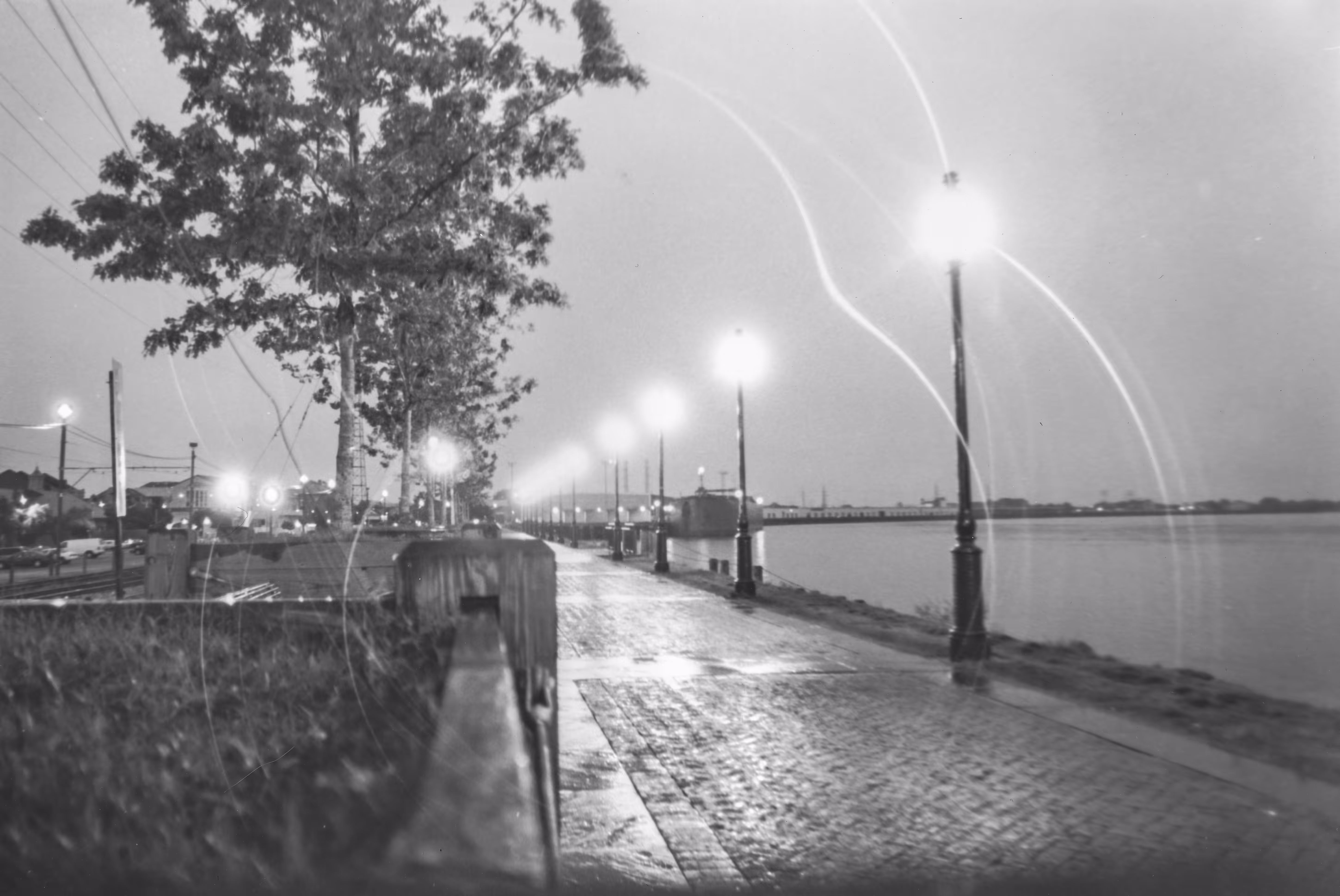 New Orleans #1