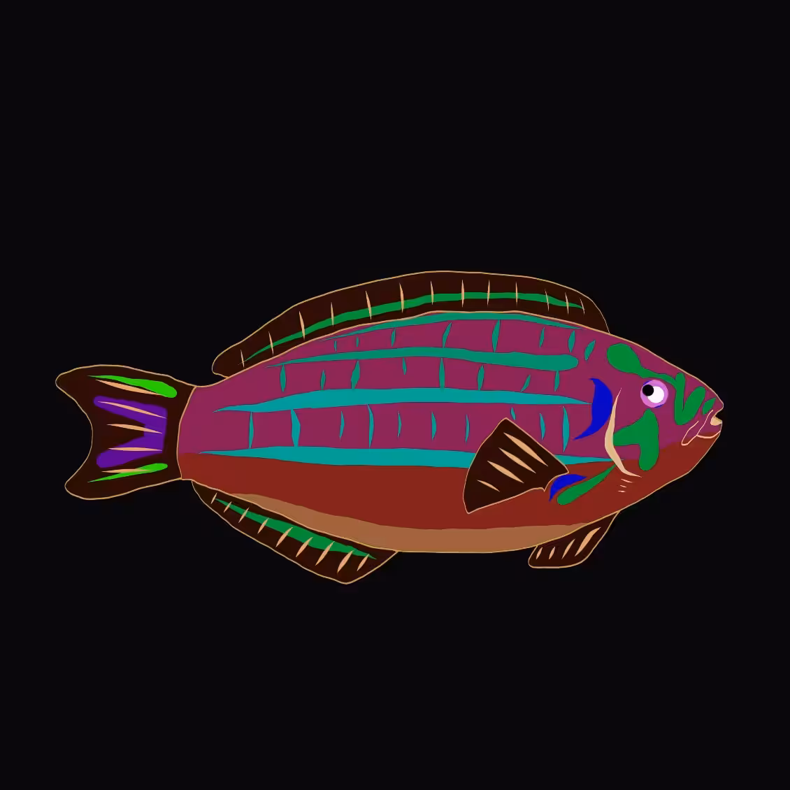 Tulip the surge wrasse