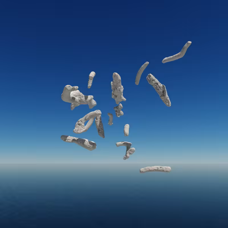Bone Work (Gulf of Mexico) 2022 #26