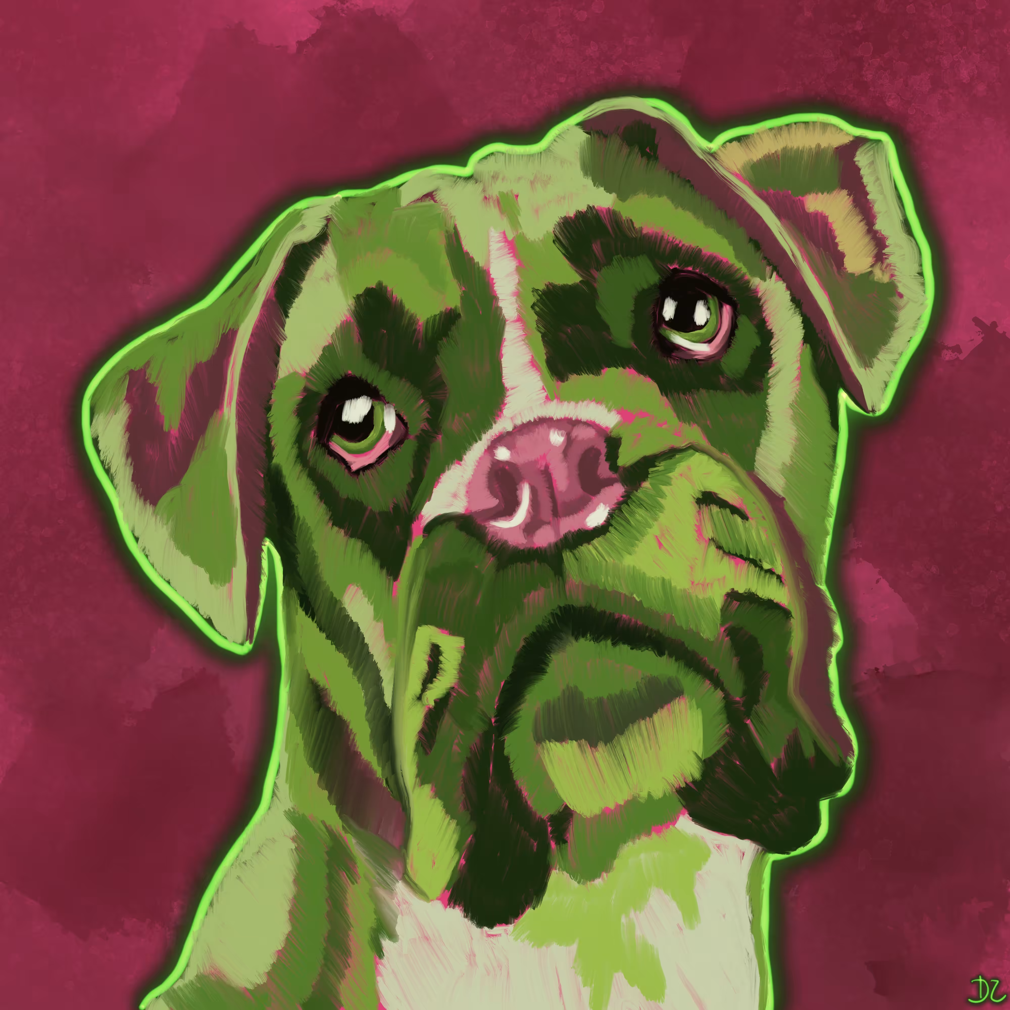 Boxer