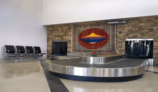 Rugs in the Wild #3 - Foreign Baggage