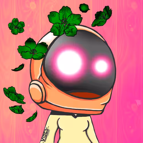 VibeNauts #1619