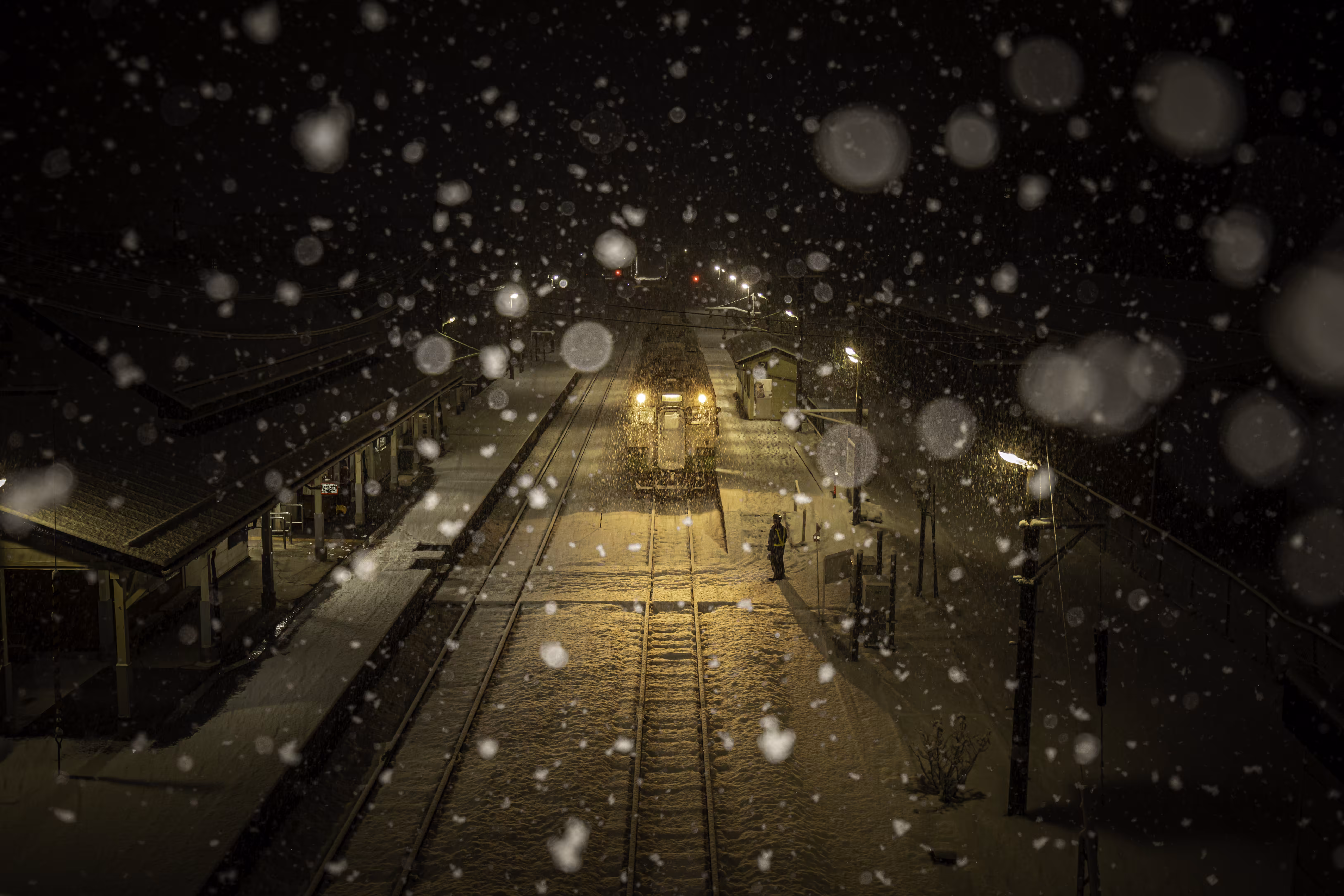 The Last Winter #2