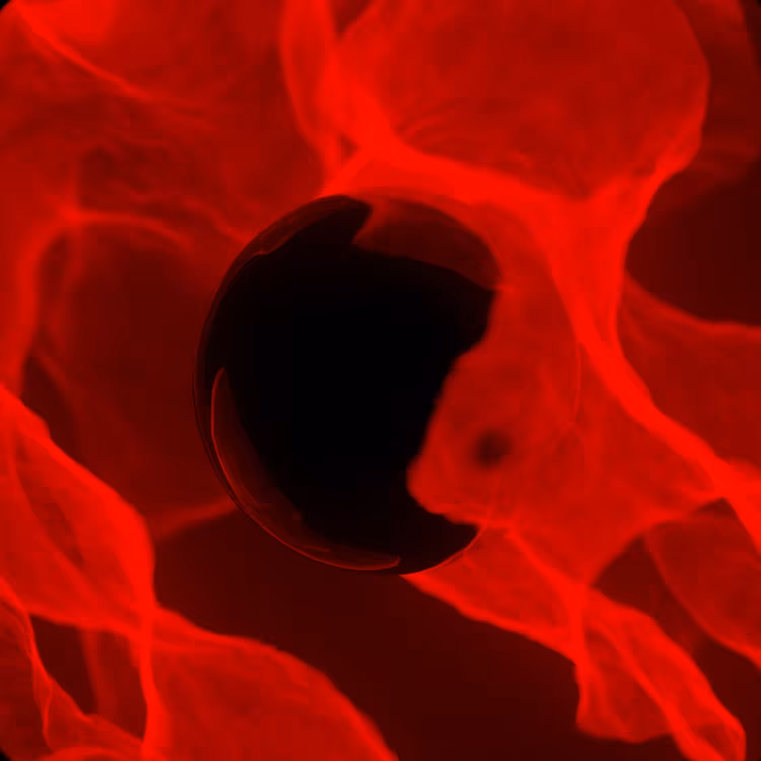 Live Cell
