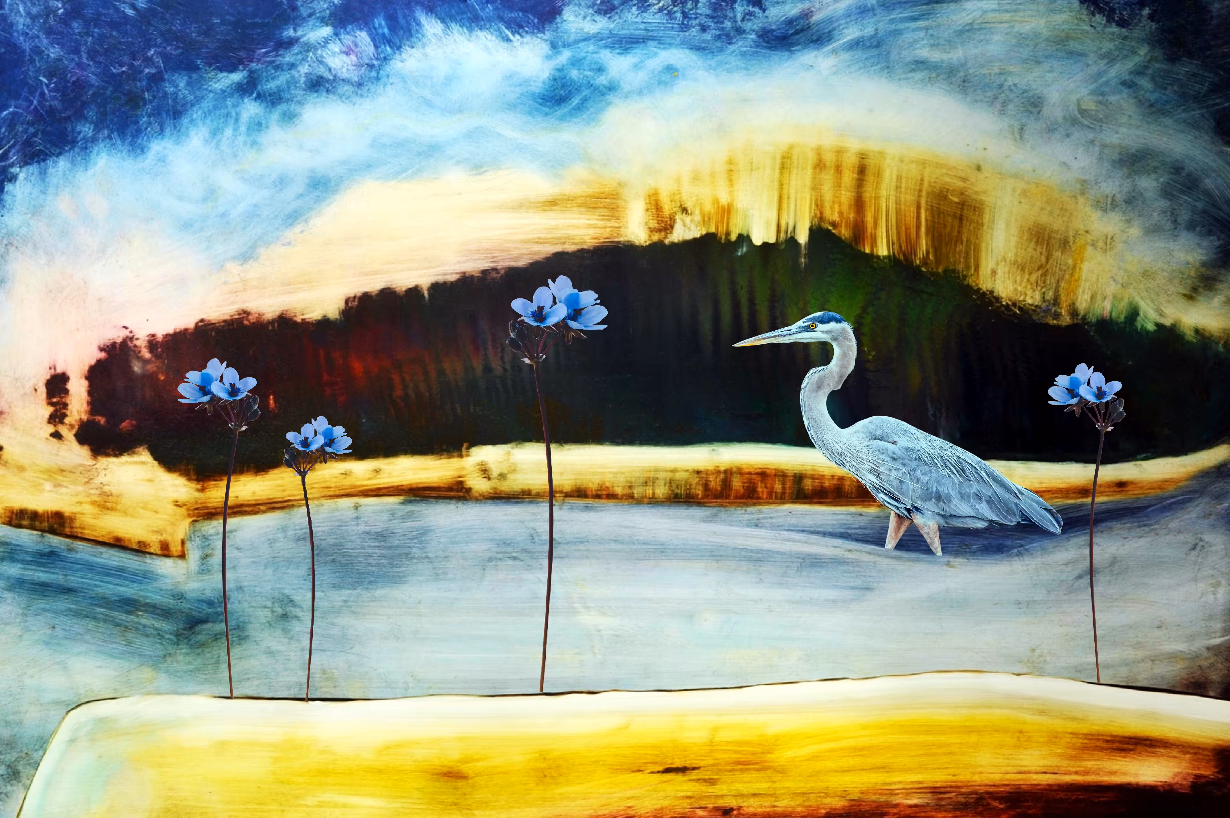 Dreamland II.
