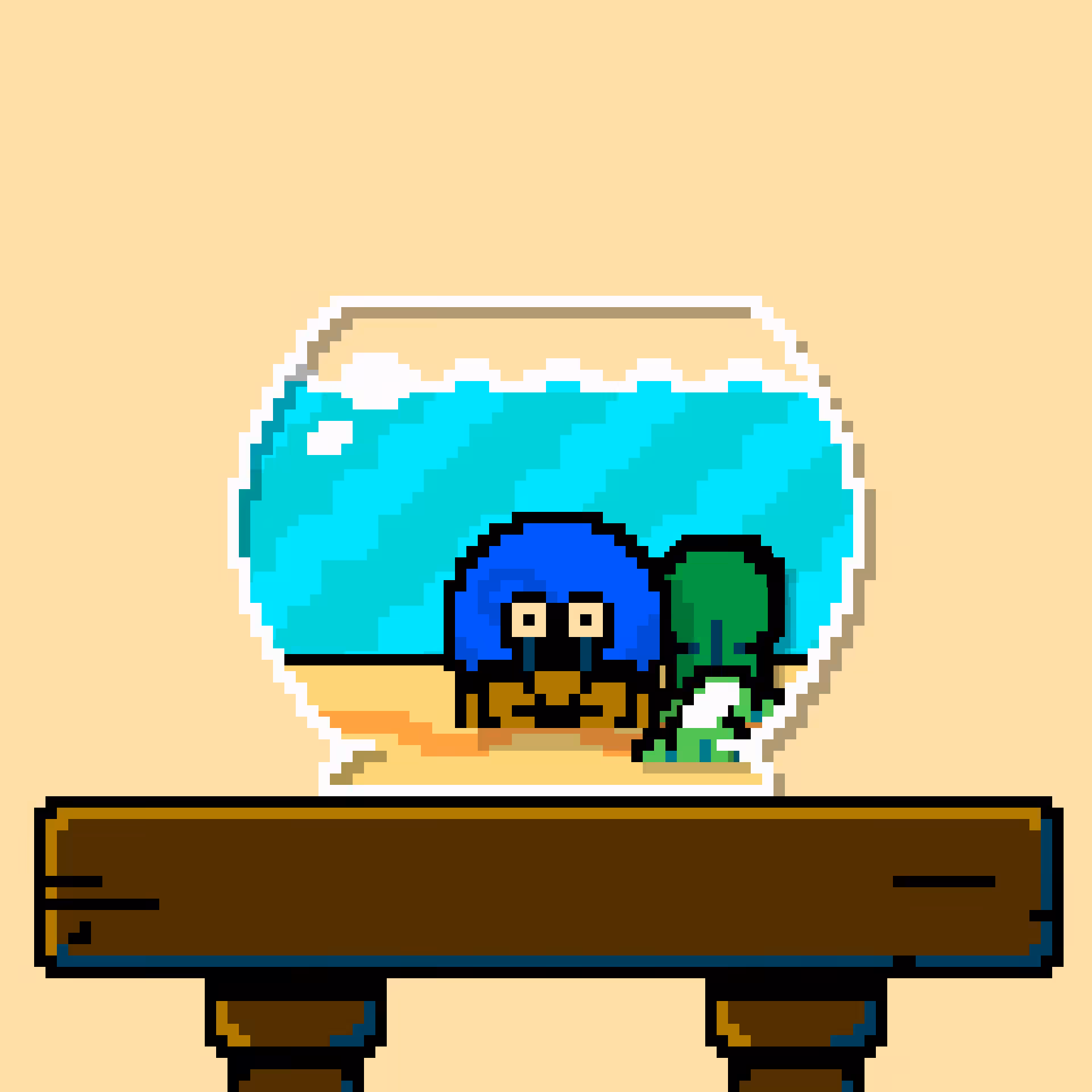 hermit crab #209