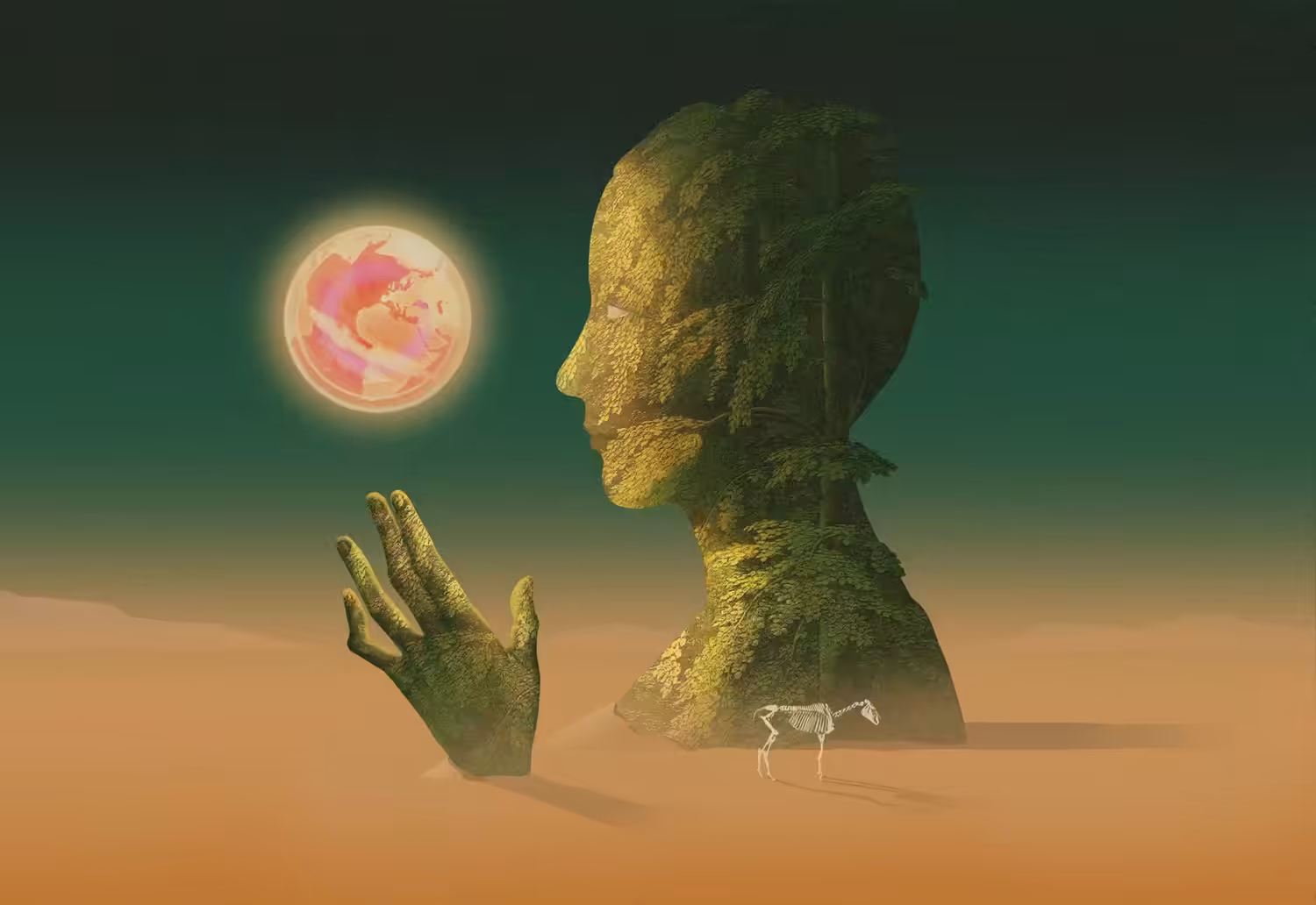 Equilibrium