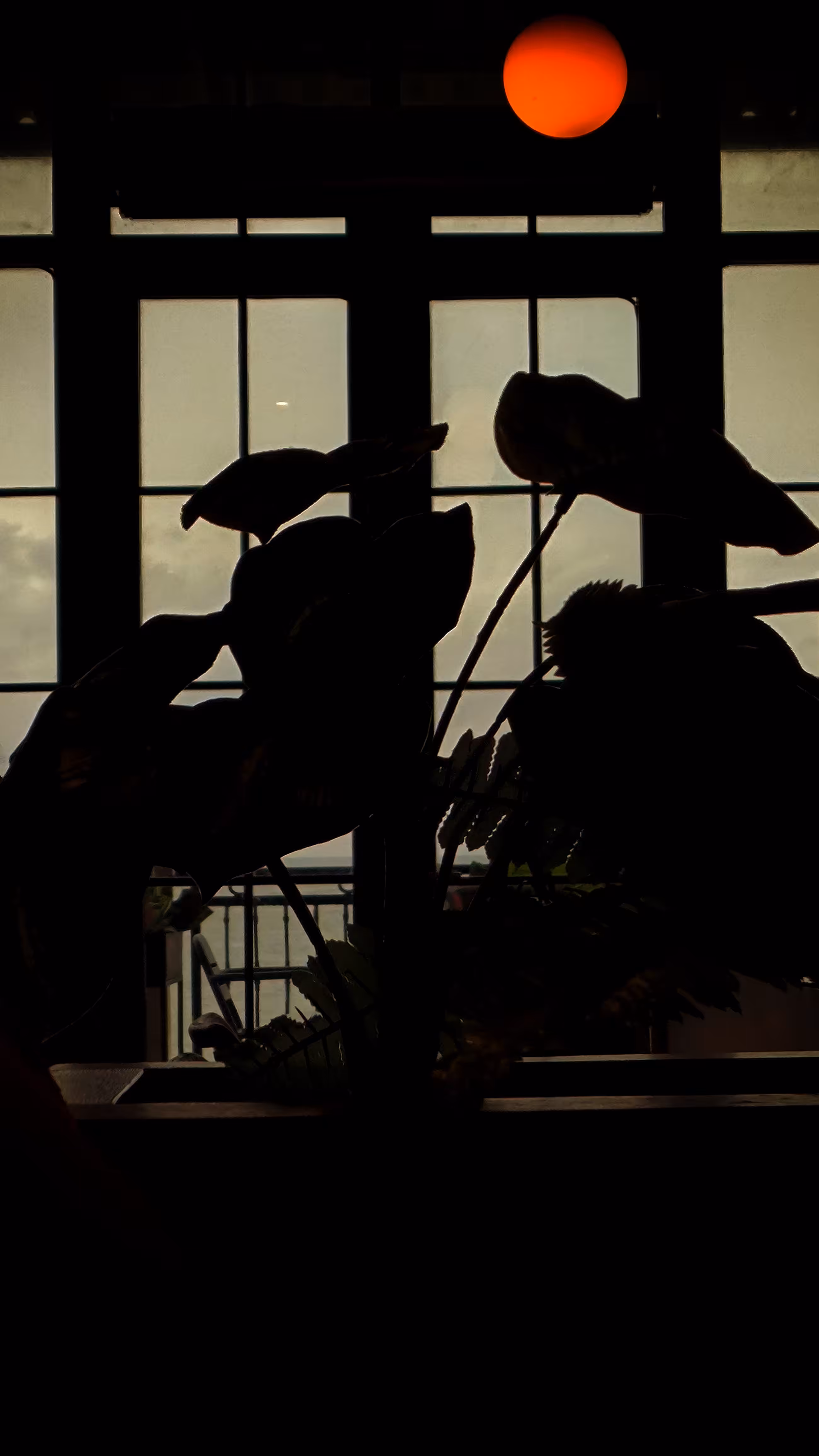 Creative Art: Where Shadows Learn to Breathe