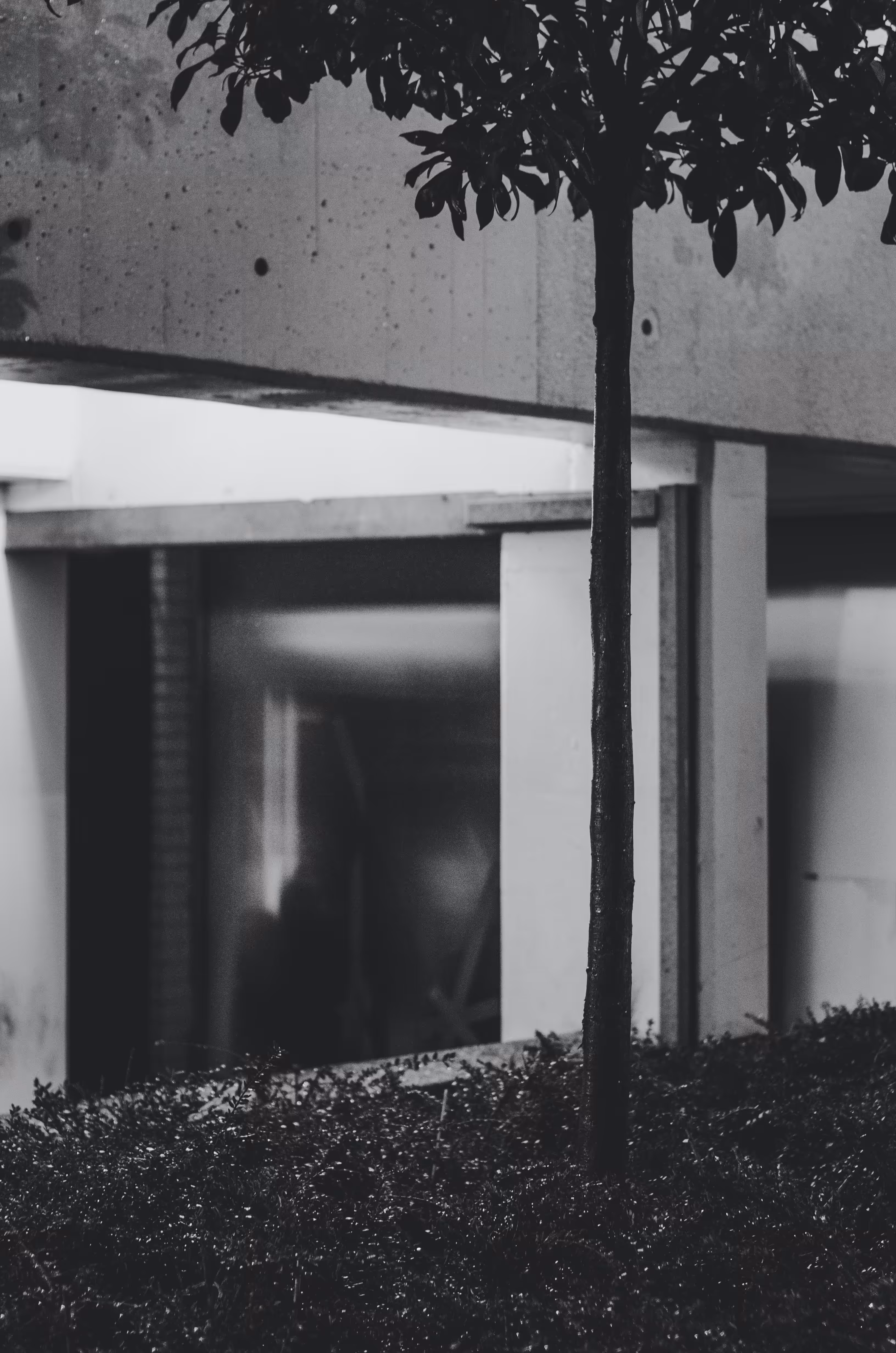 Urban Lines