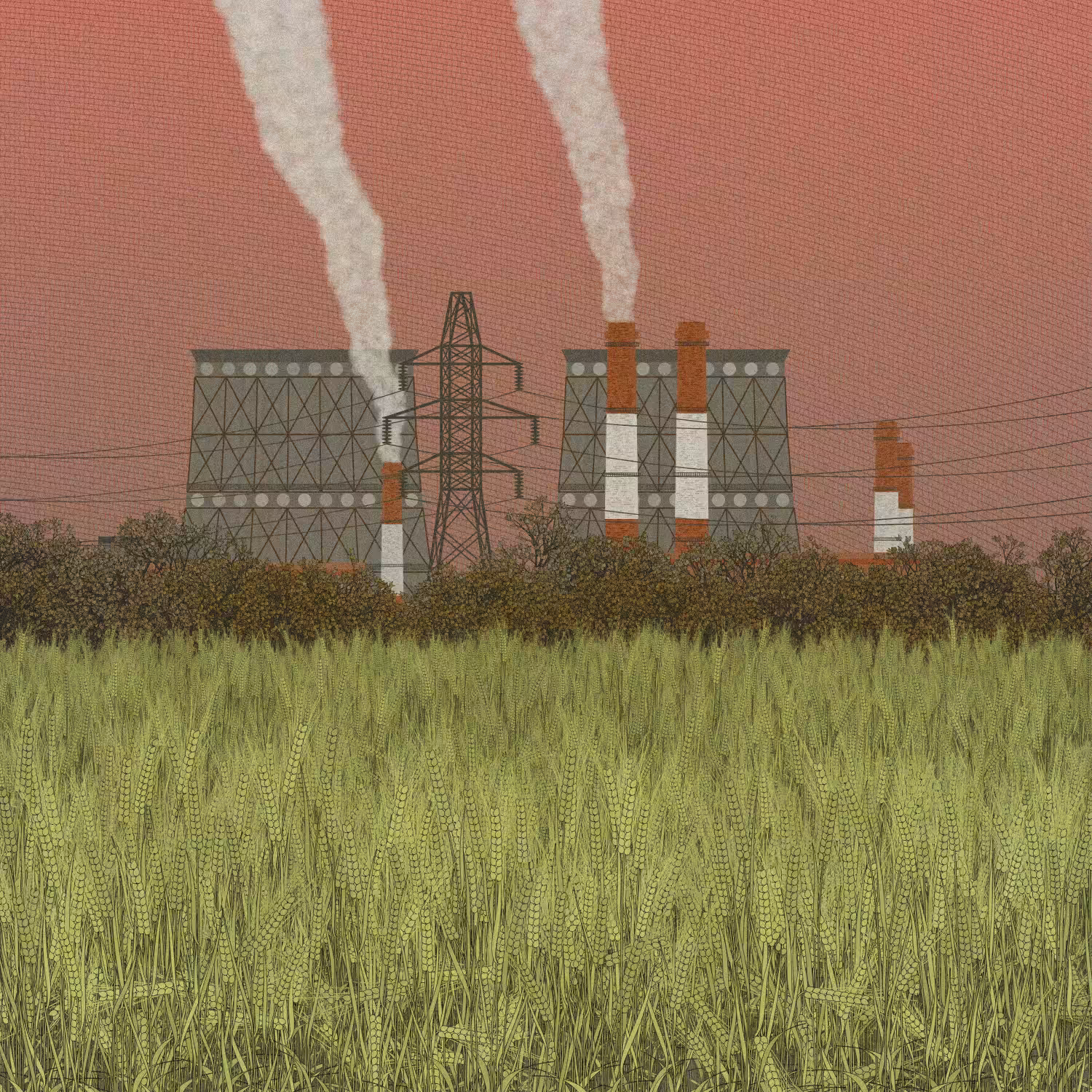 Fields of the Abandoned Homeland #37