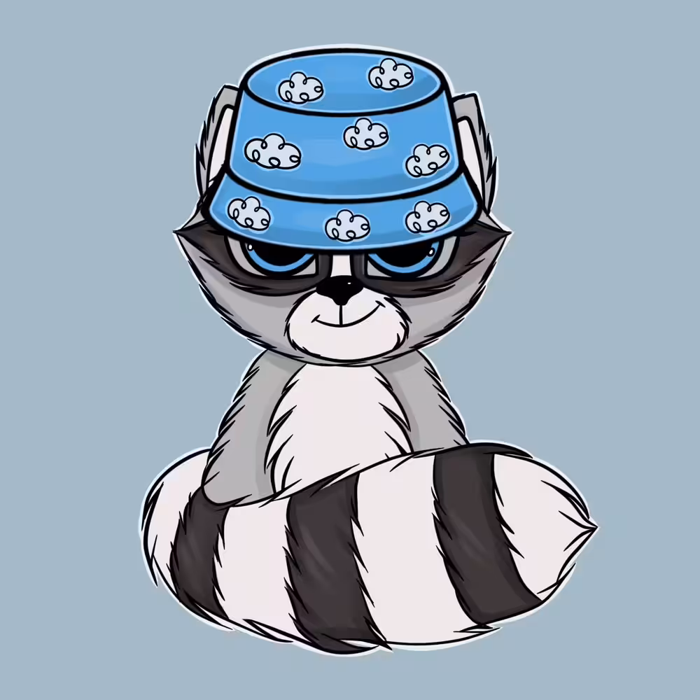Raccoon #3