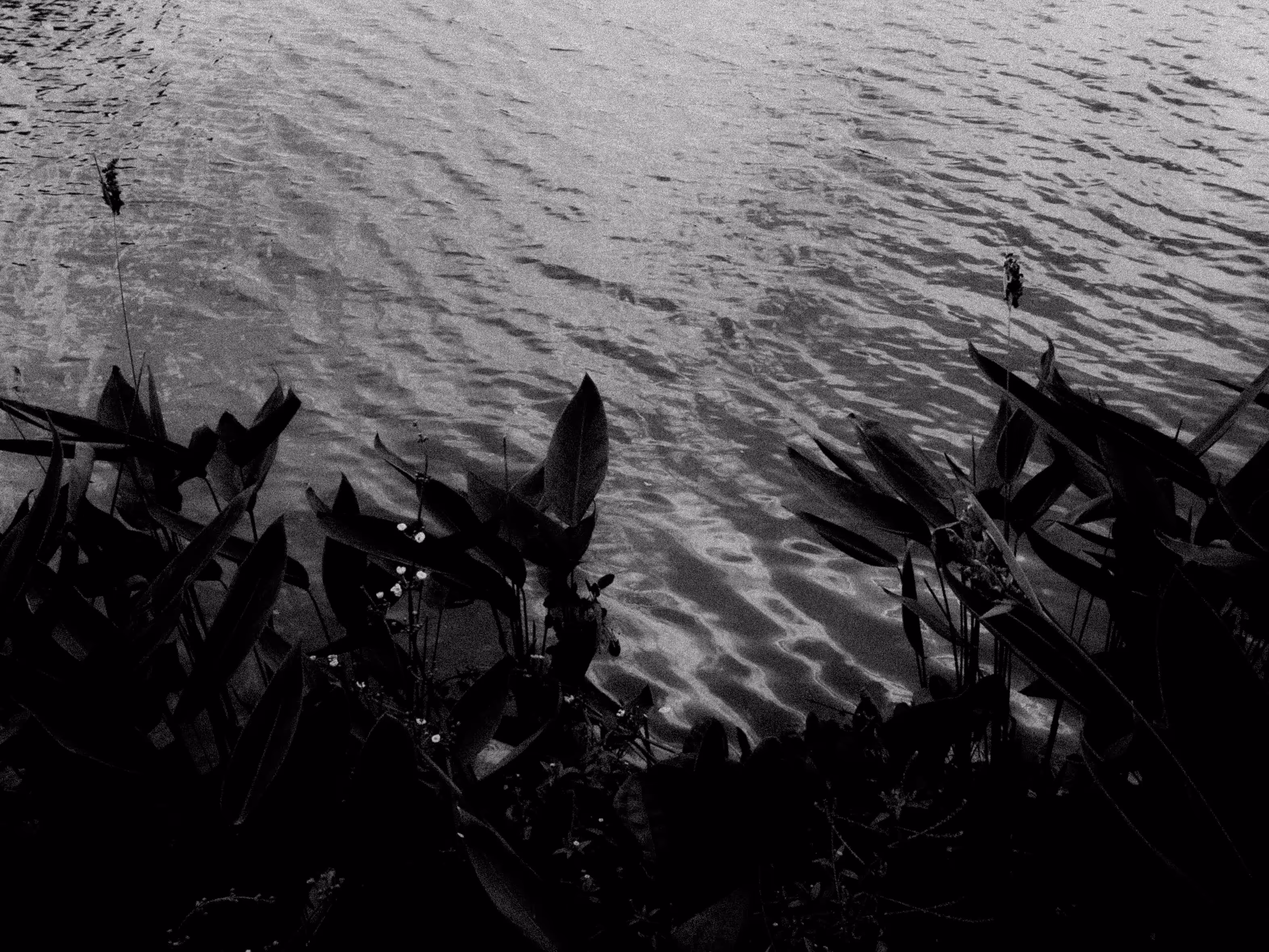 SILENT NOISE