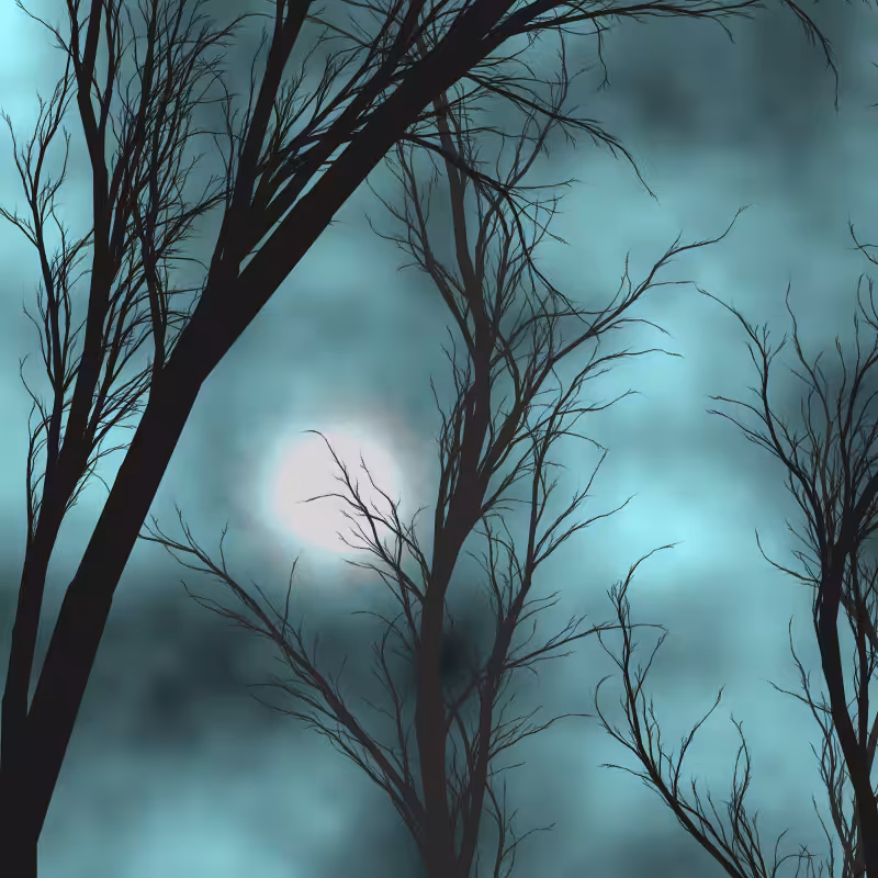 Through the night #36
