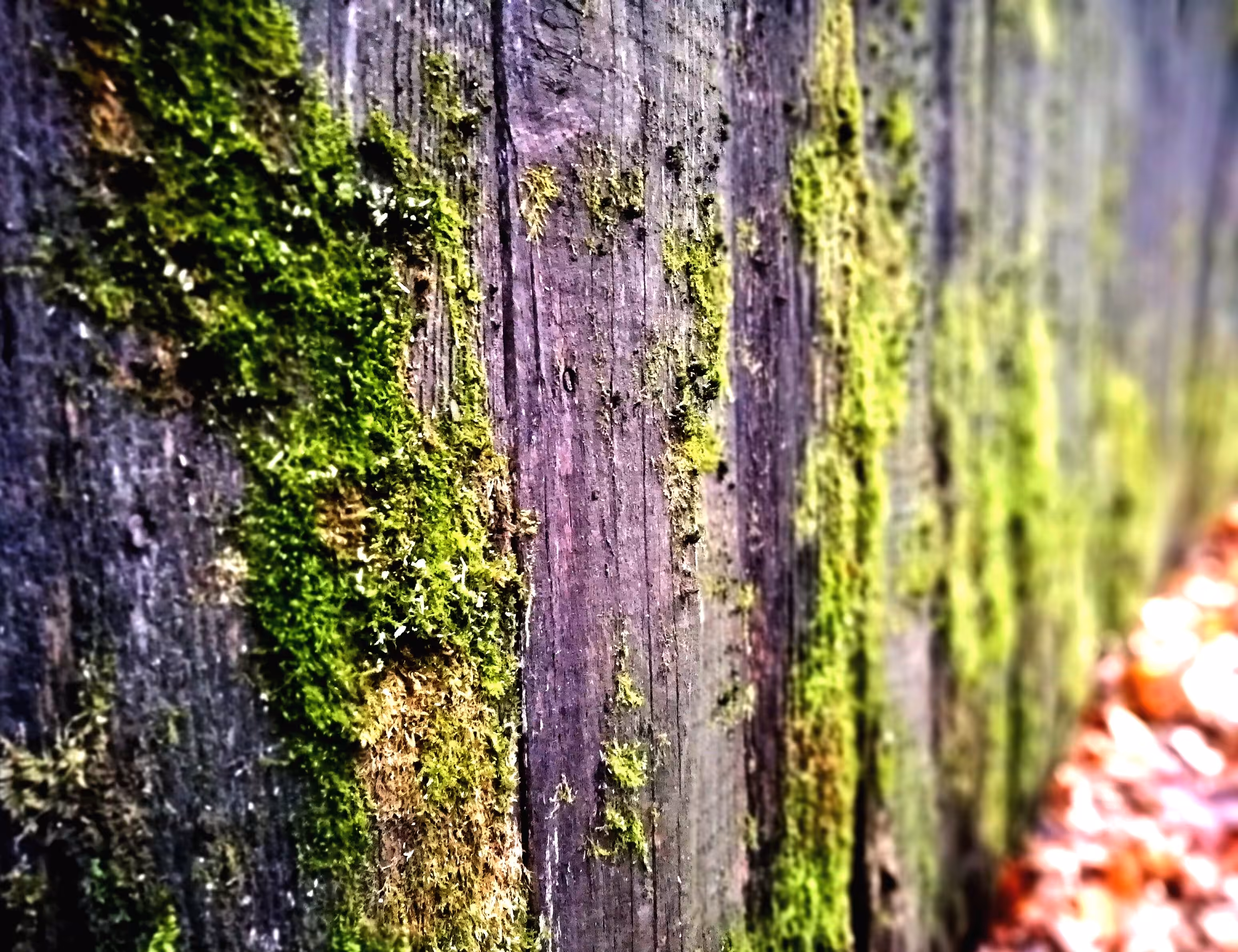Texture