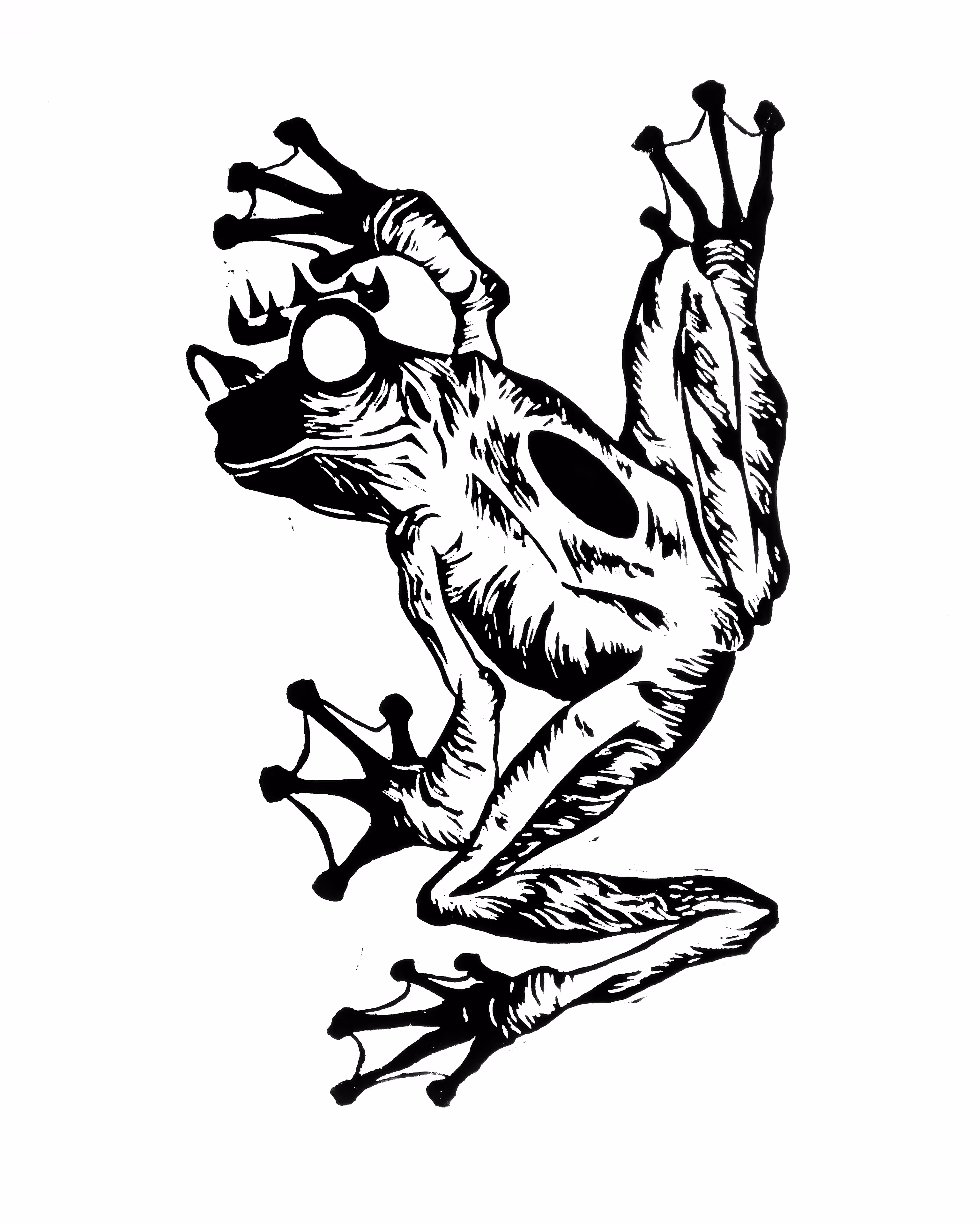 Frog King