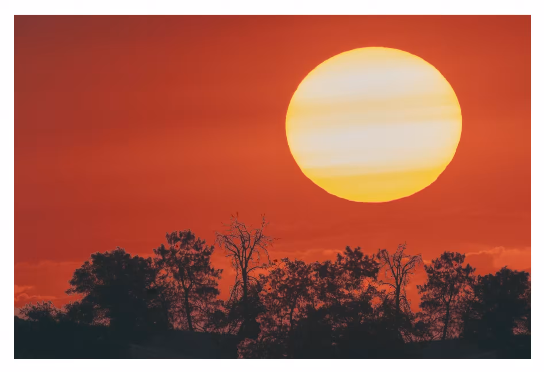 Red Outback 
