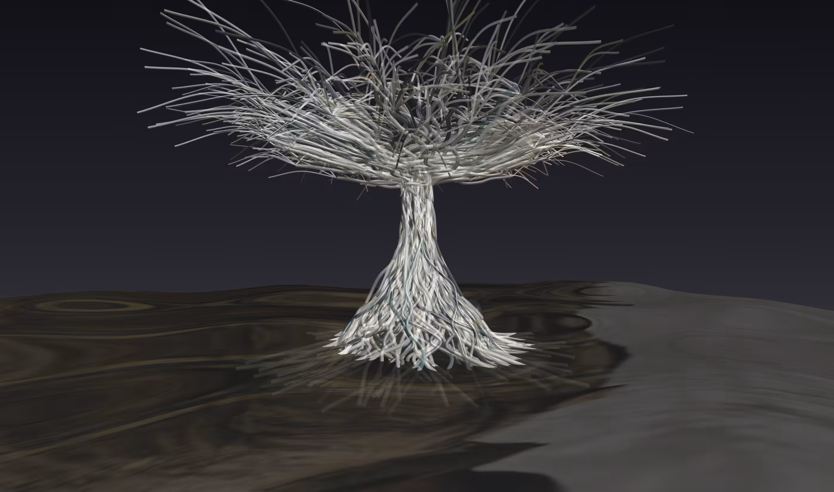 Speculum Viae