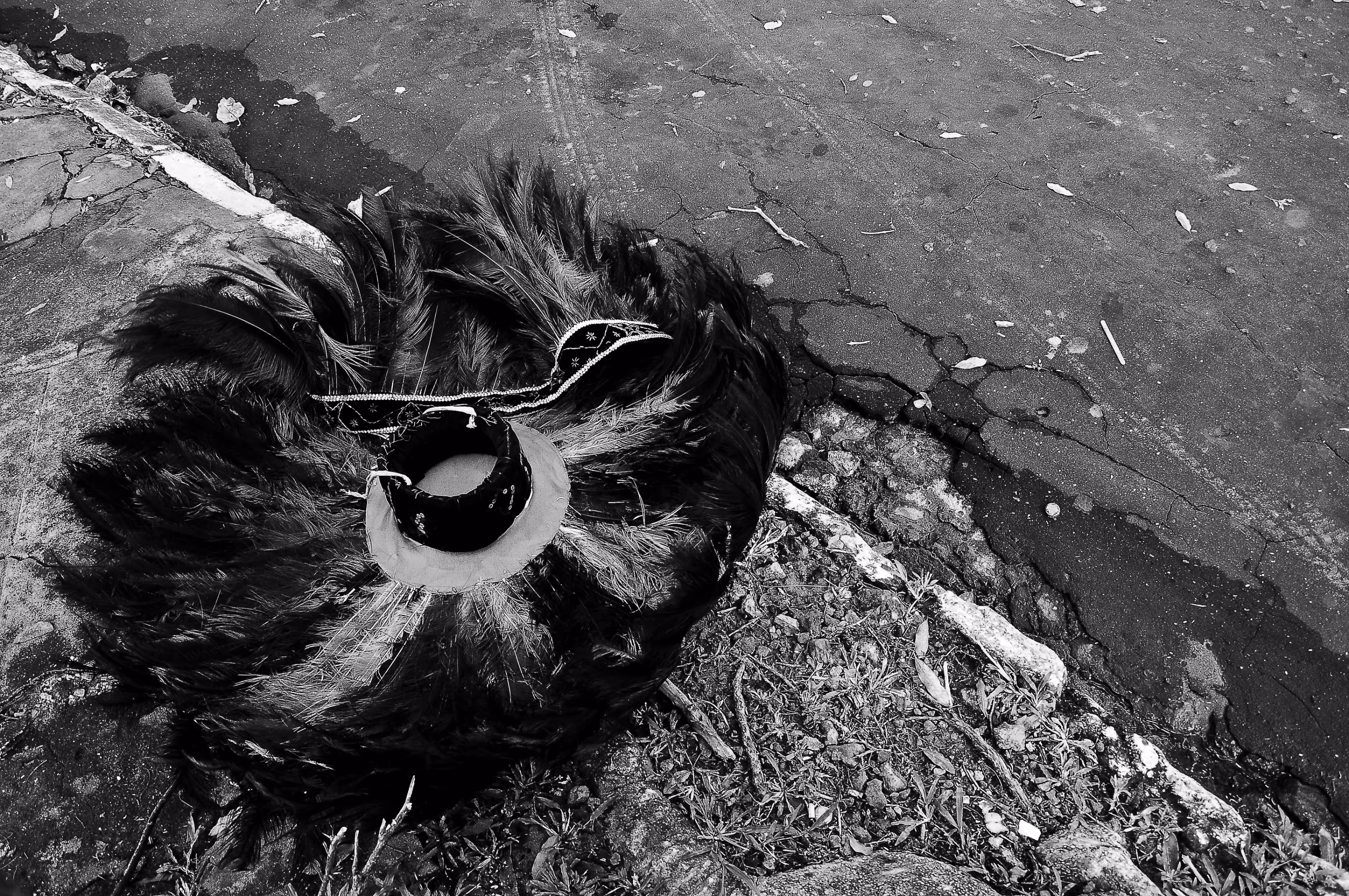 Headdress of the Caboclo Majesty