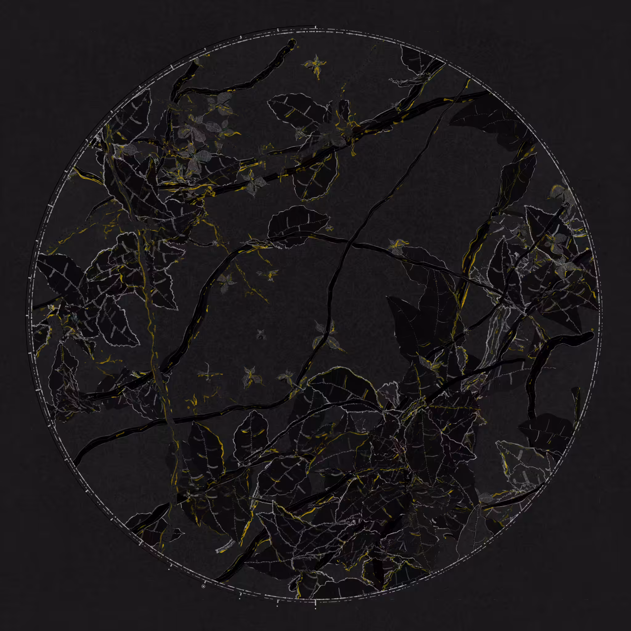 Polypaths | 植徑集 #456