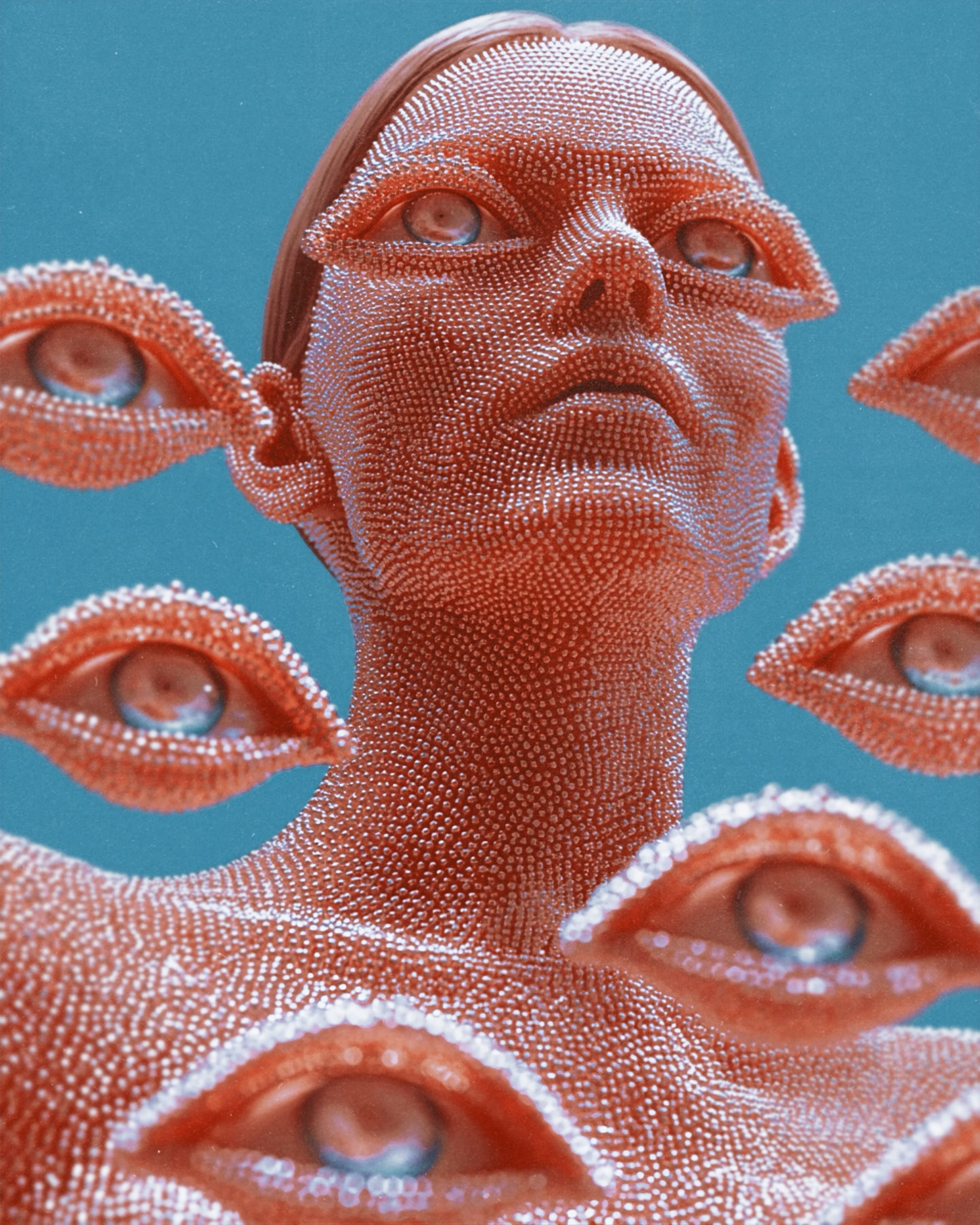 experimentalia🪞: metamorphosis 