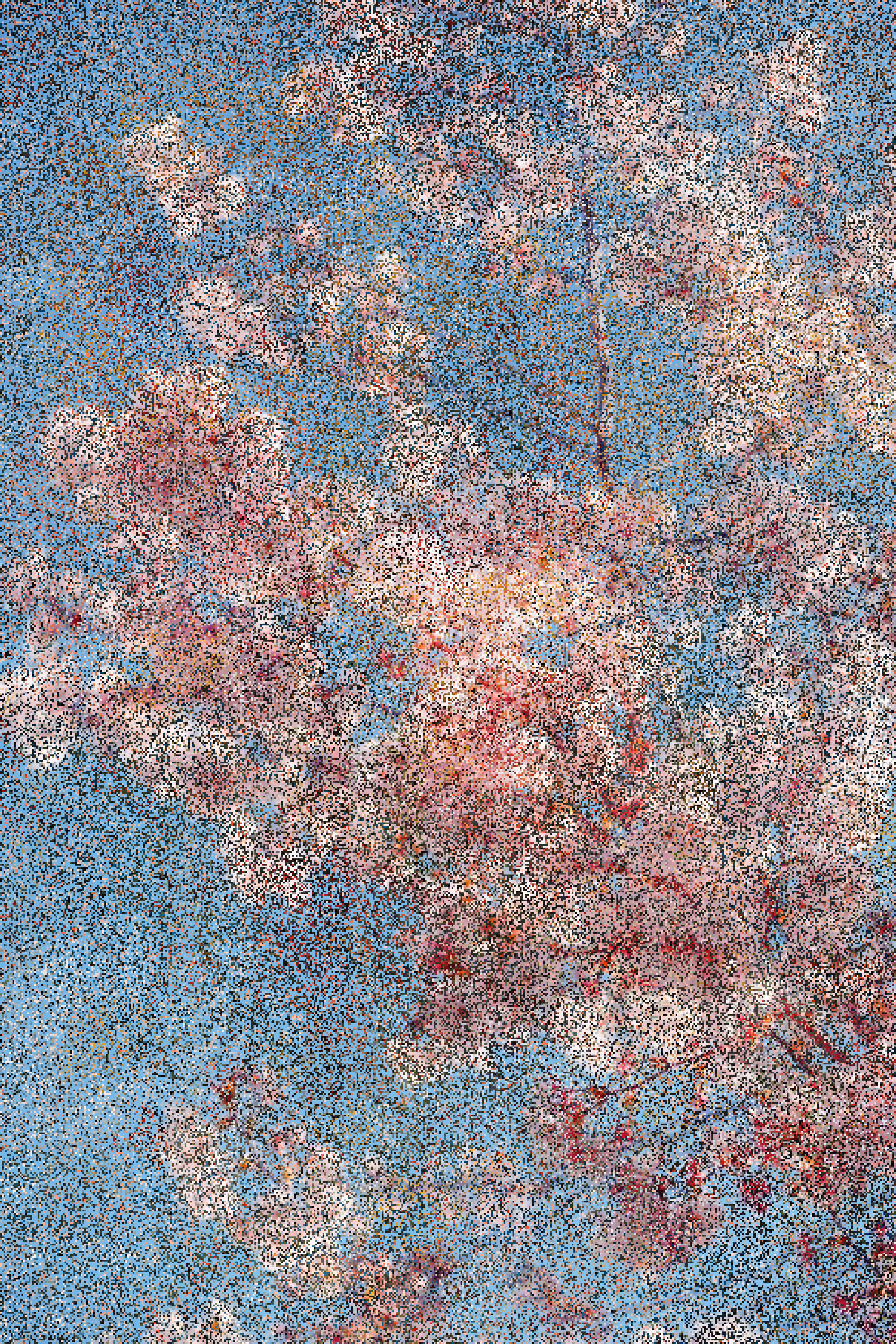 Flowers.008