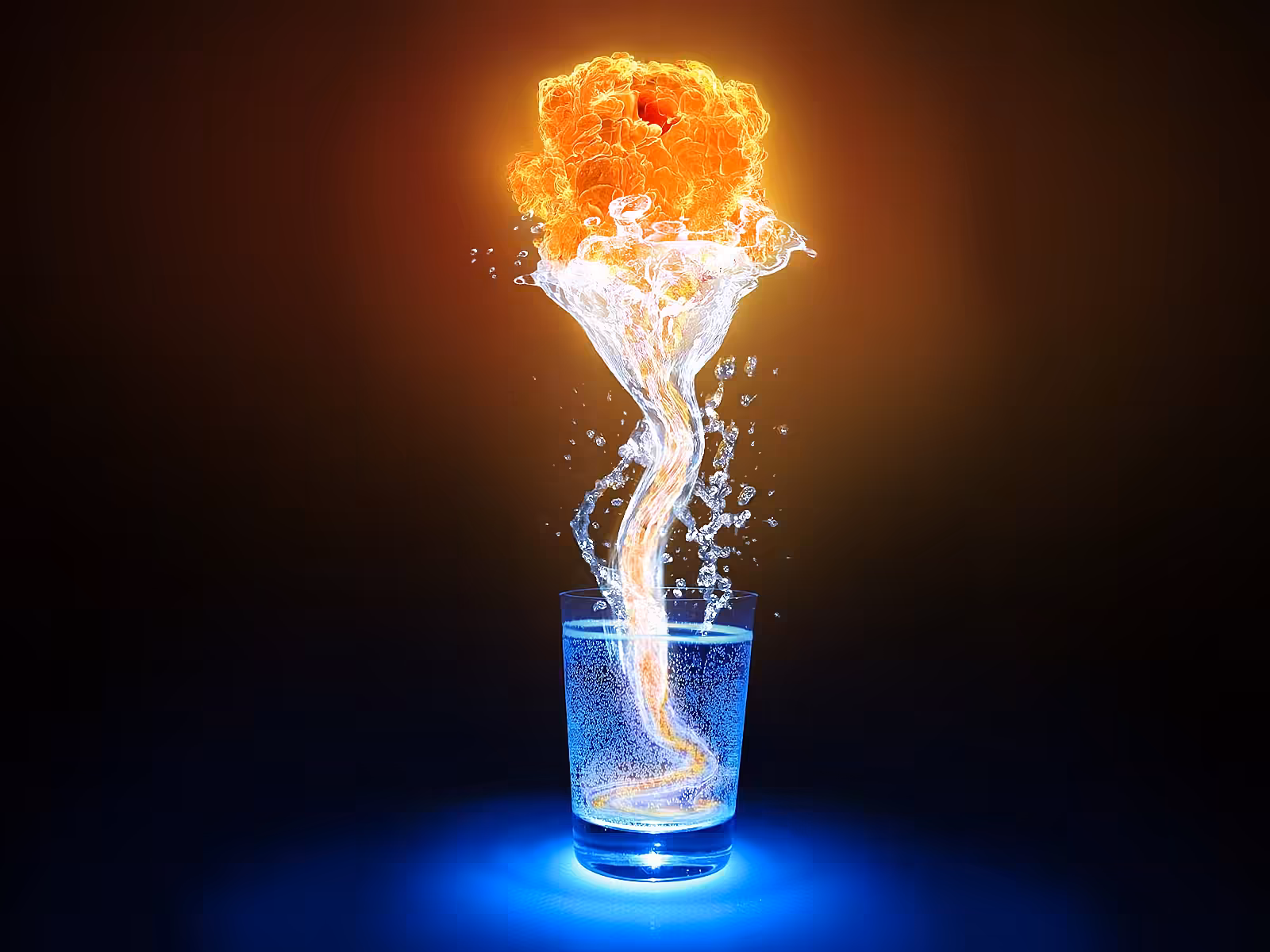 Fire rose