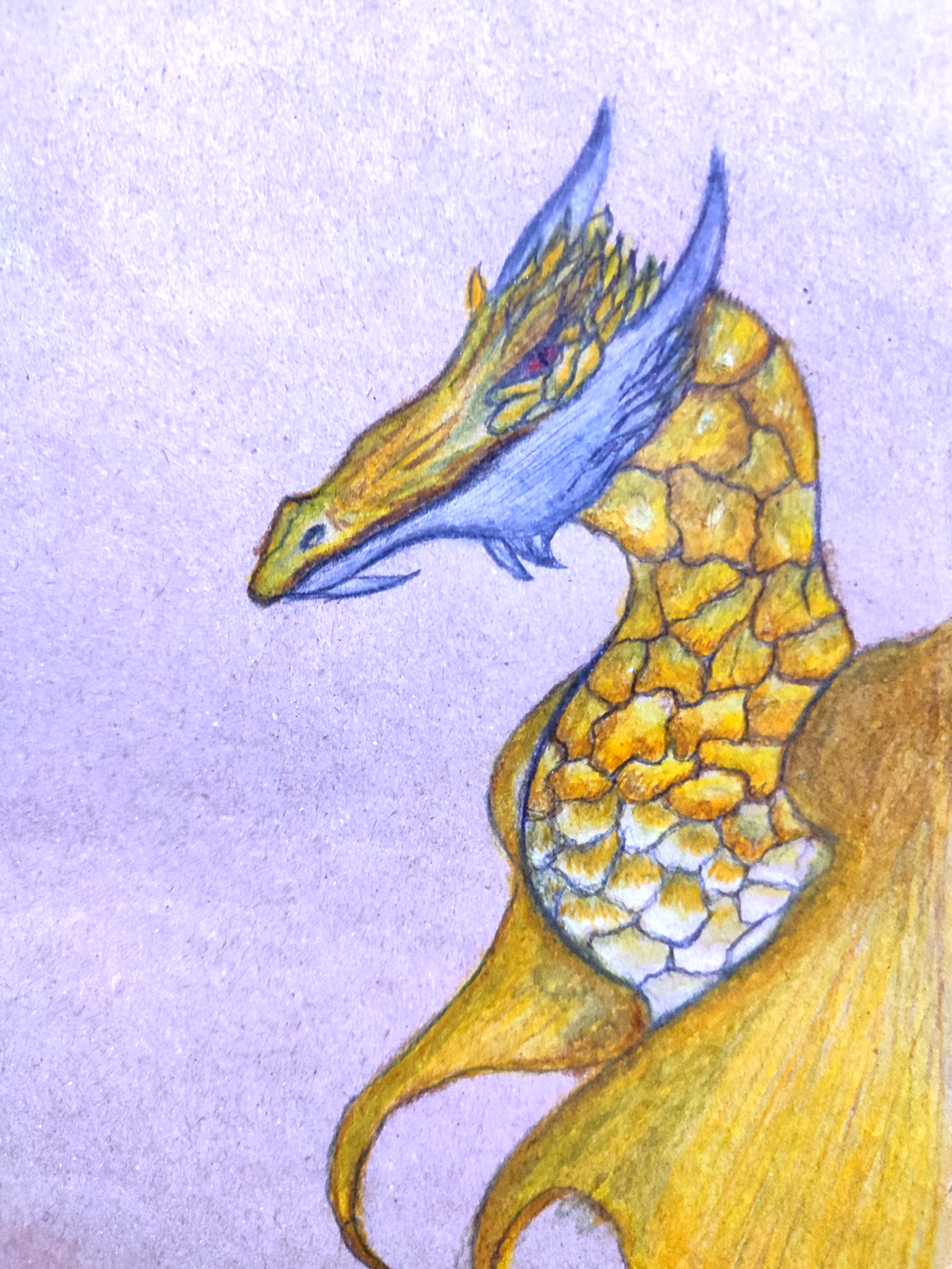 Yellow dragon