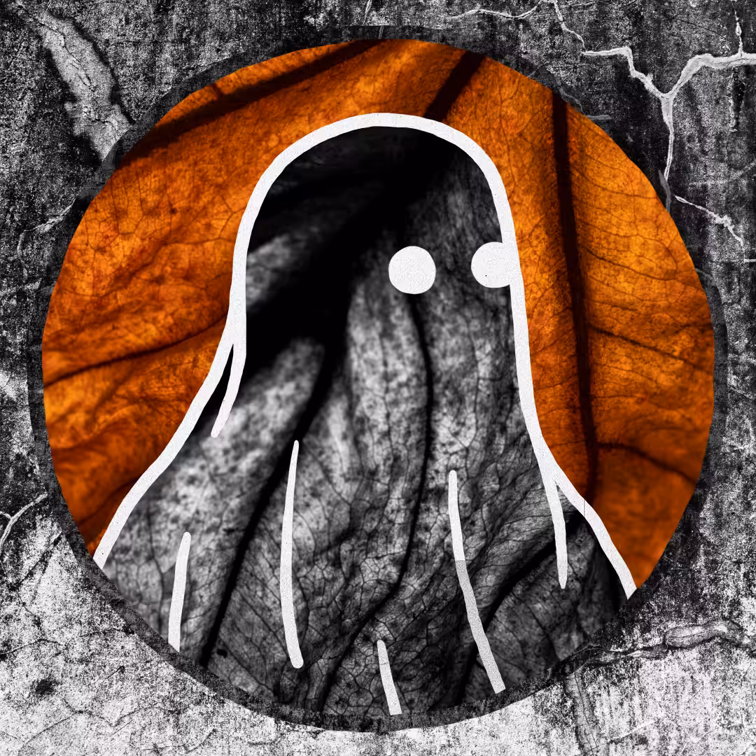Anonymous Ghost #539 by alurwaktu 