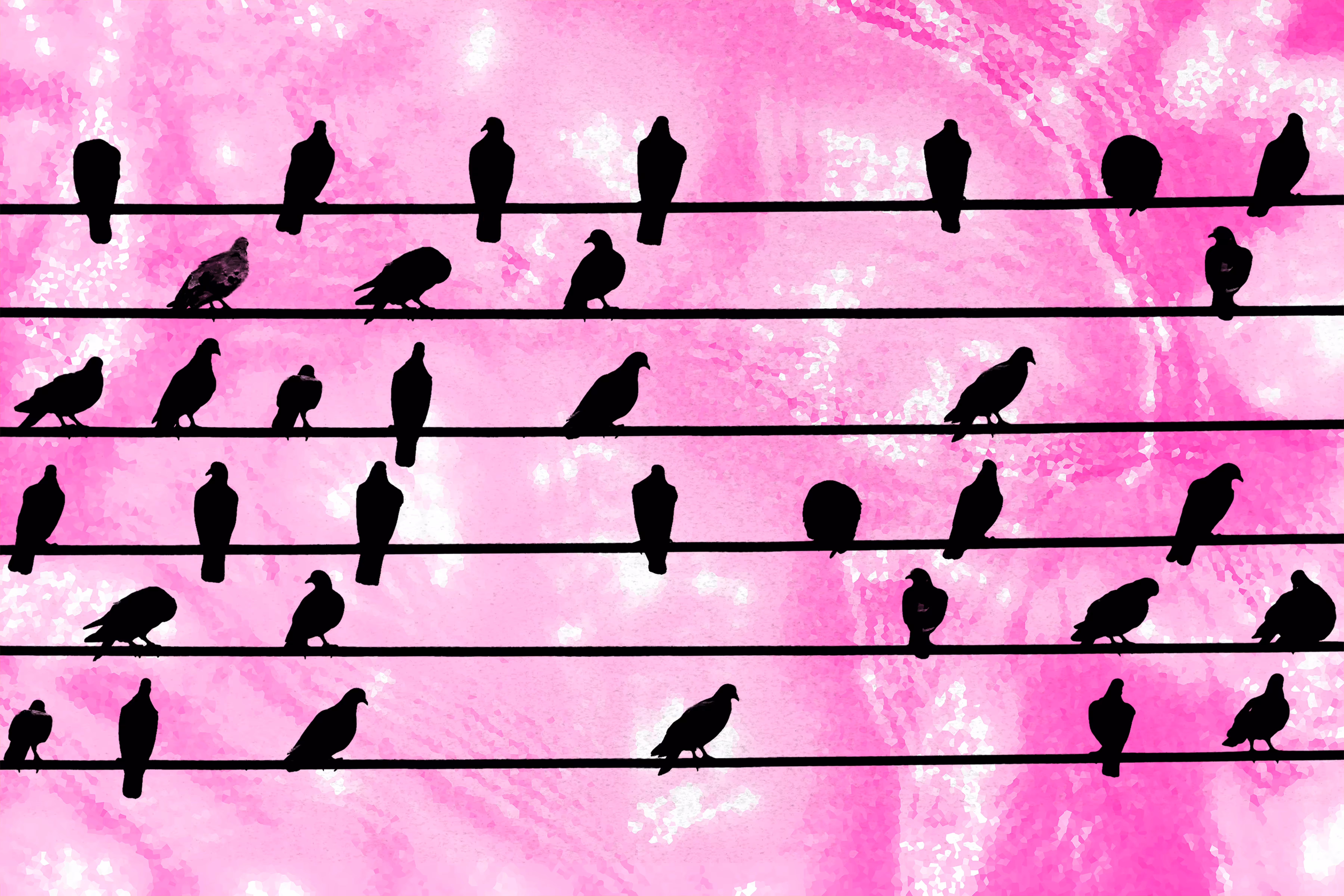 Birds on a Wire