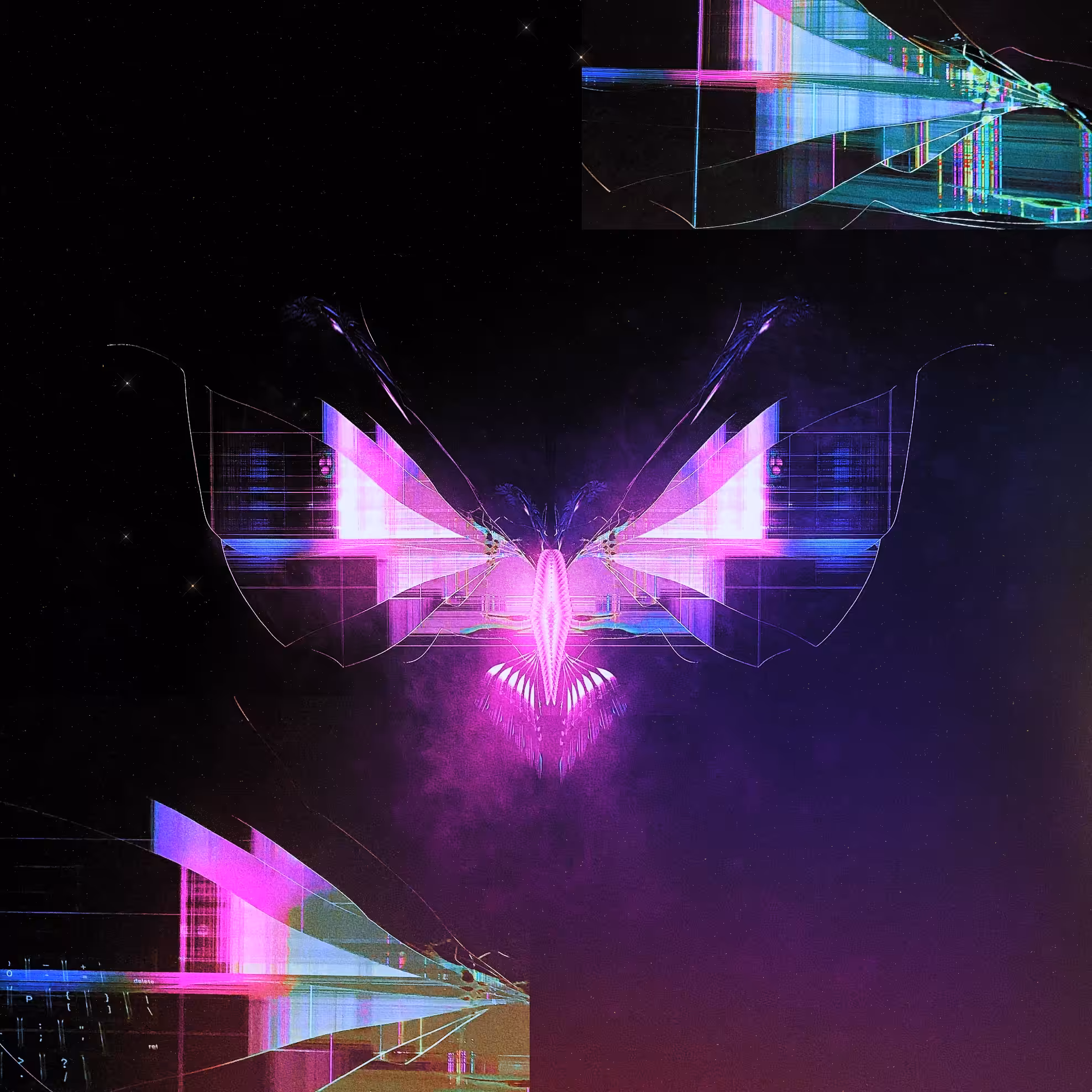 glitchéfly 02 // lover