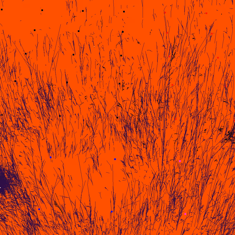 Infinite Garden: 20560 Flowers