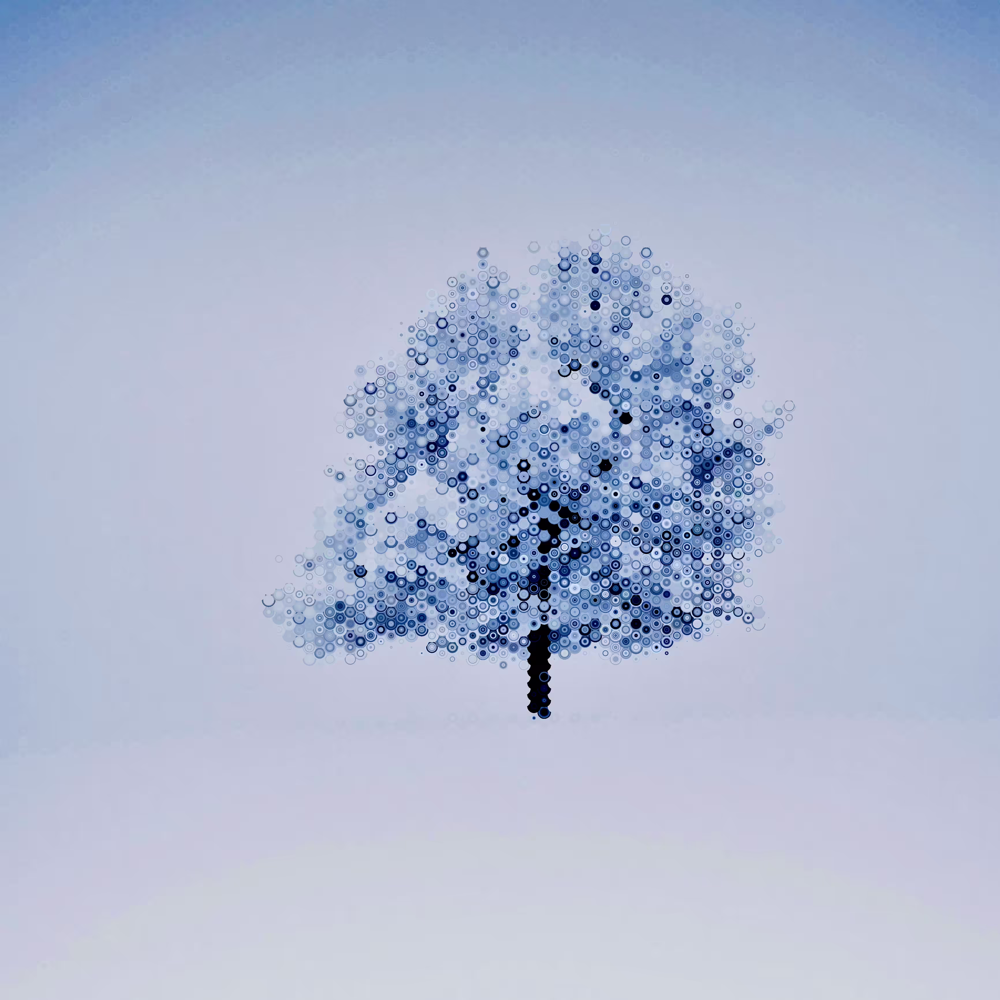 Hex Winter