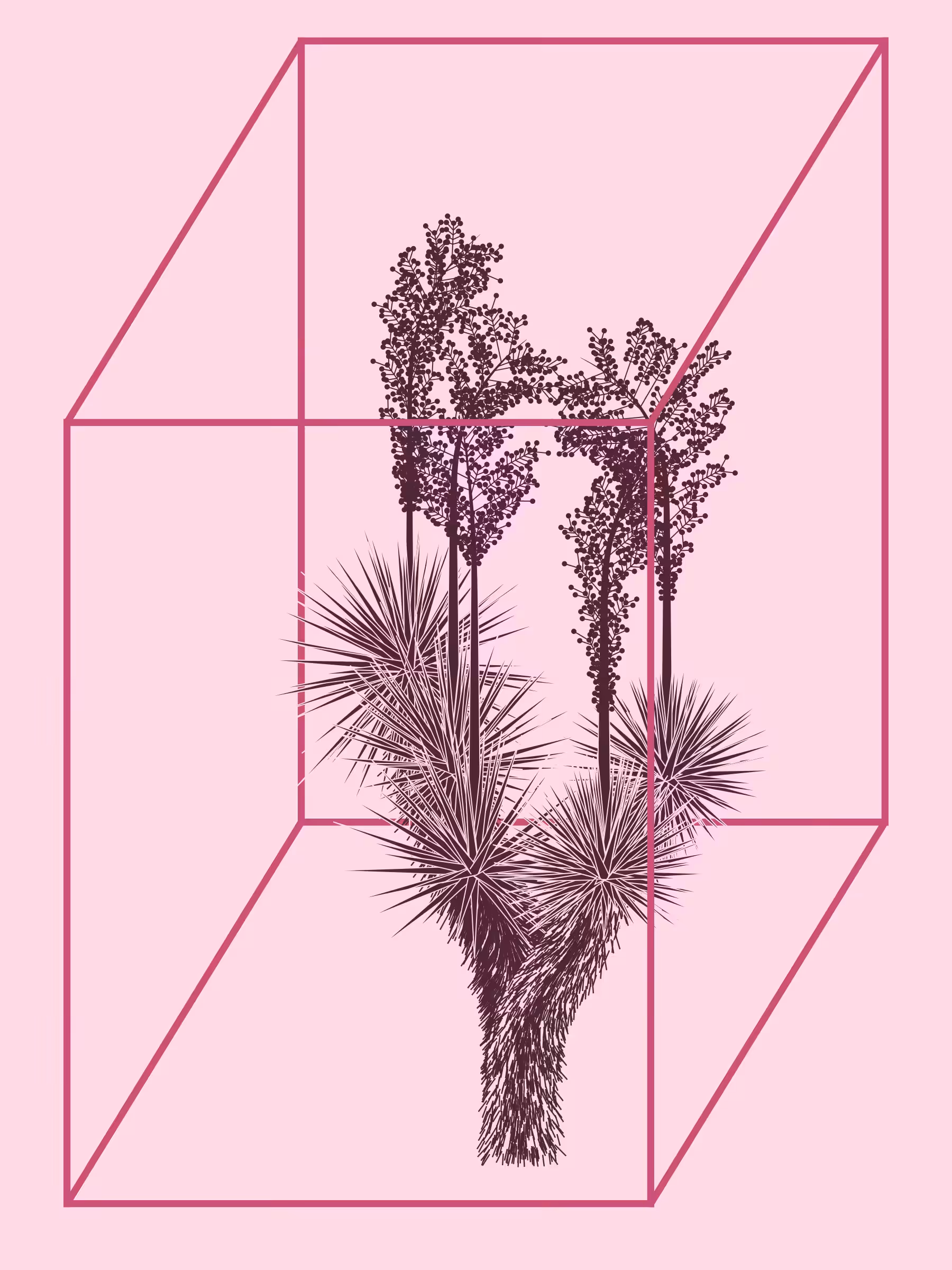 Marfa Yucca #18